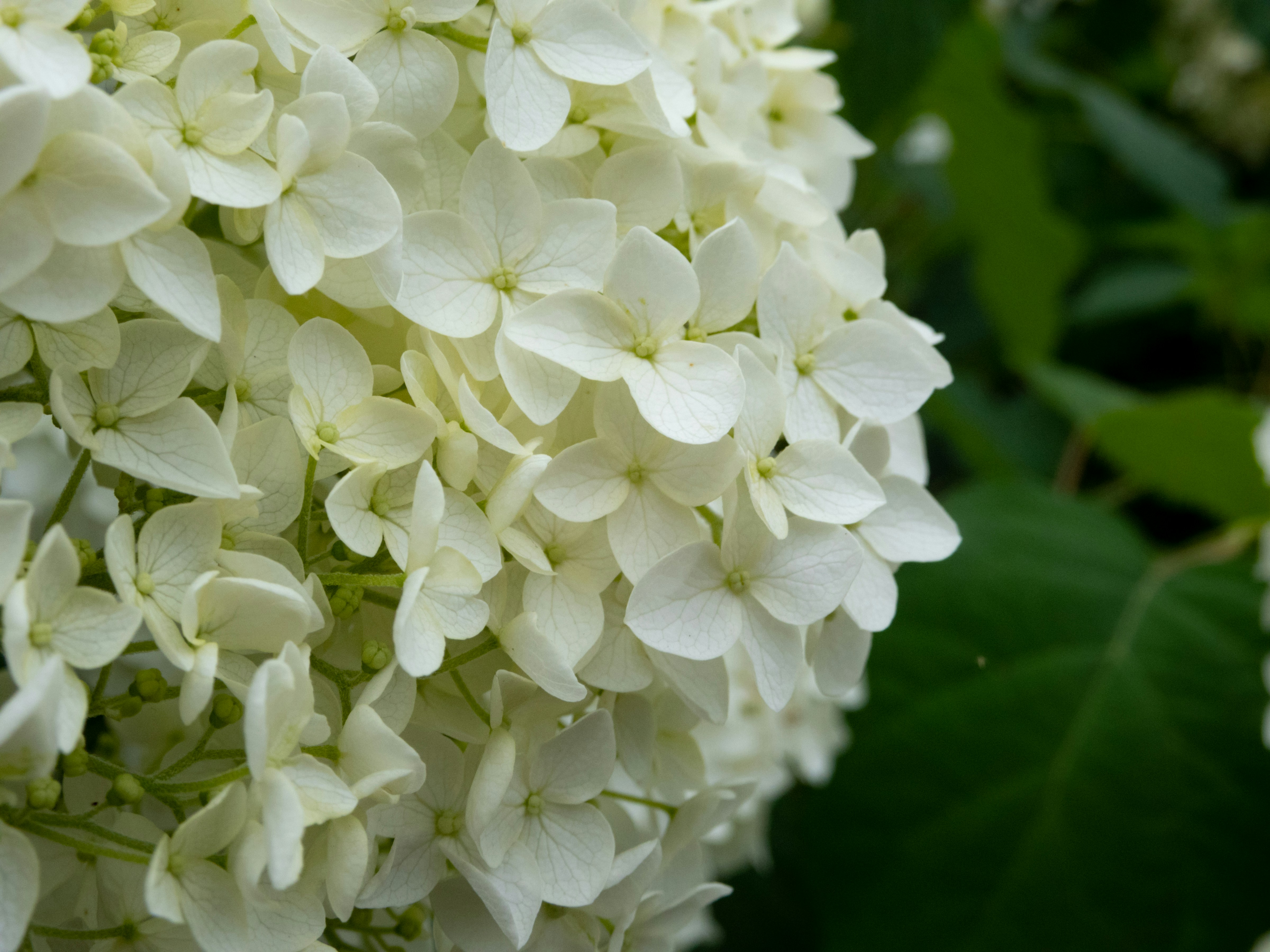 Photo by heppoko_yama