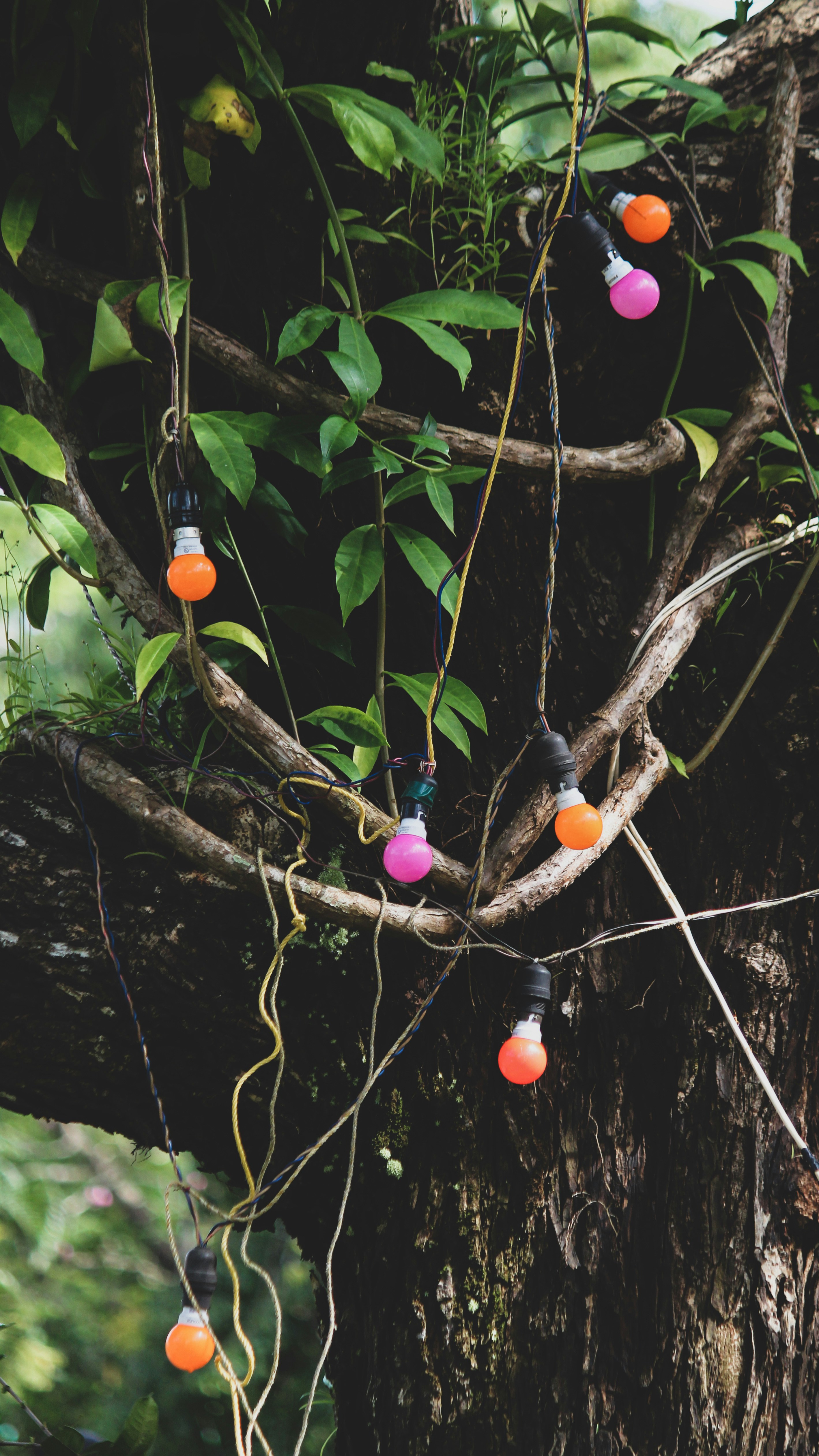 Photo by priyanshh32