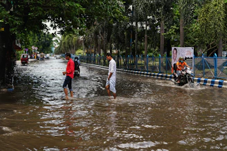 people walking in water