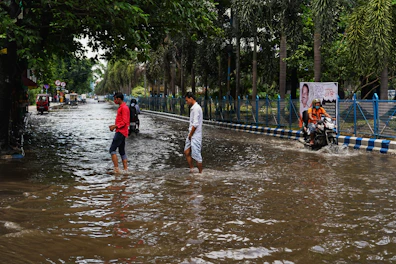 people walking in water
