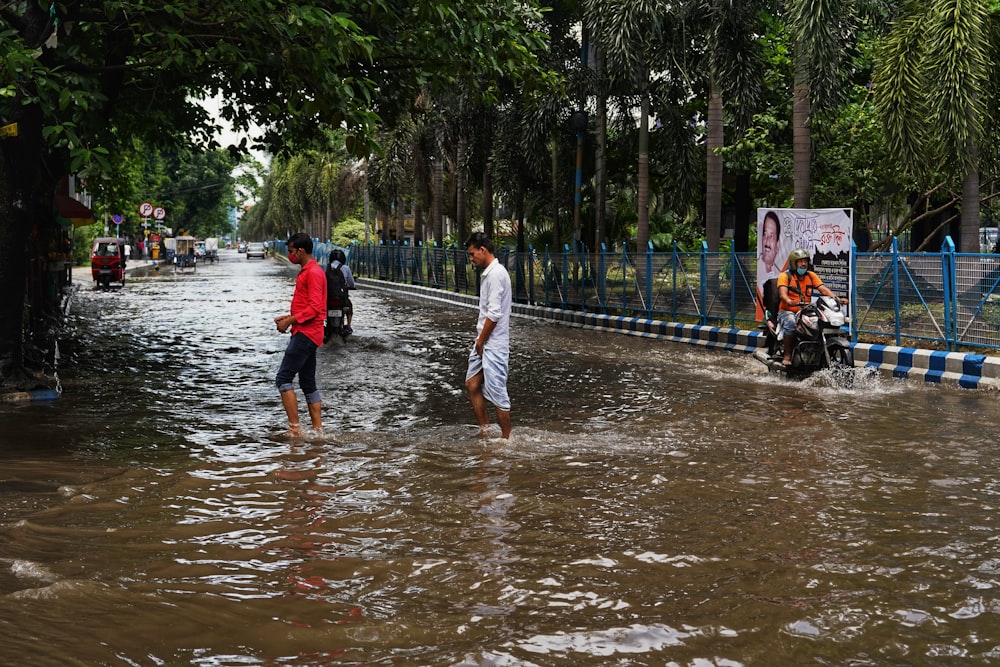 people walking in water