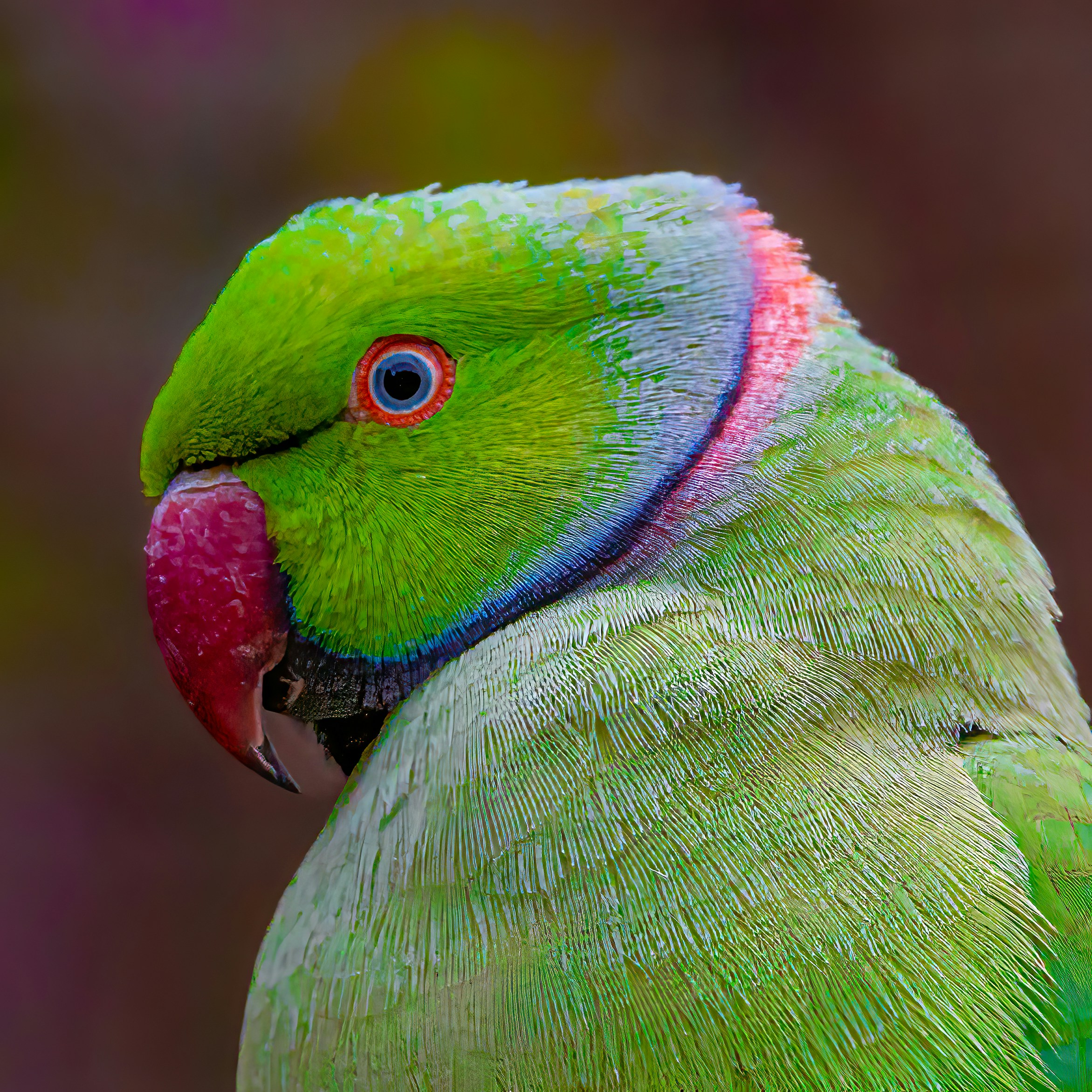 Photo by kennygoossen