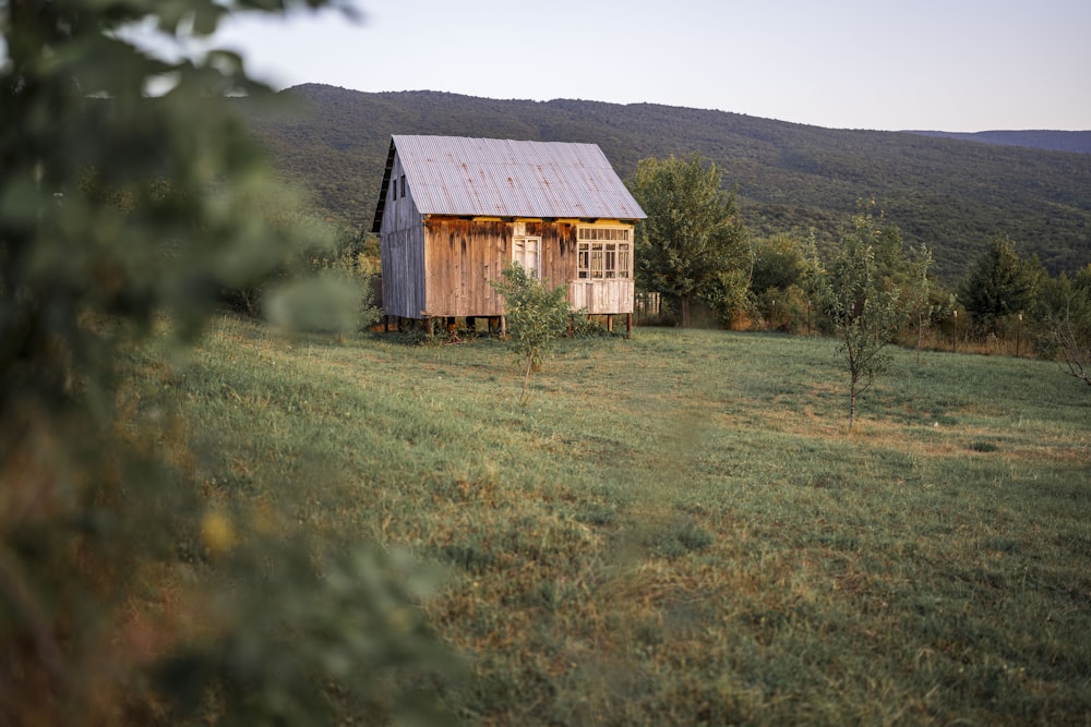 Une maison dans un champ herbeux