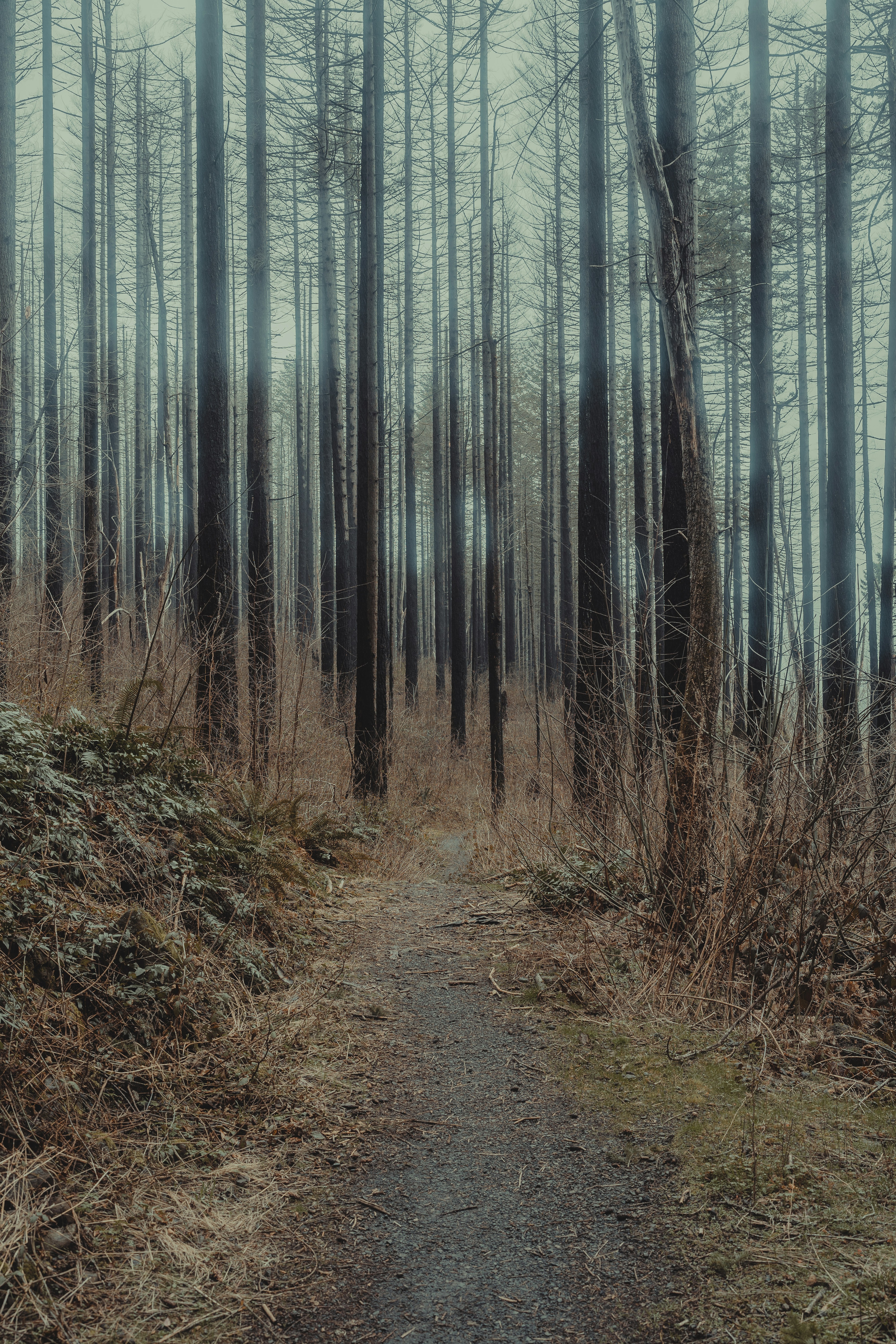 Photo by brianatkinsphotography