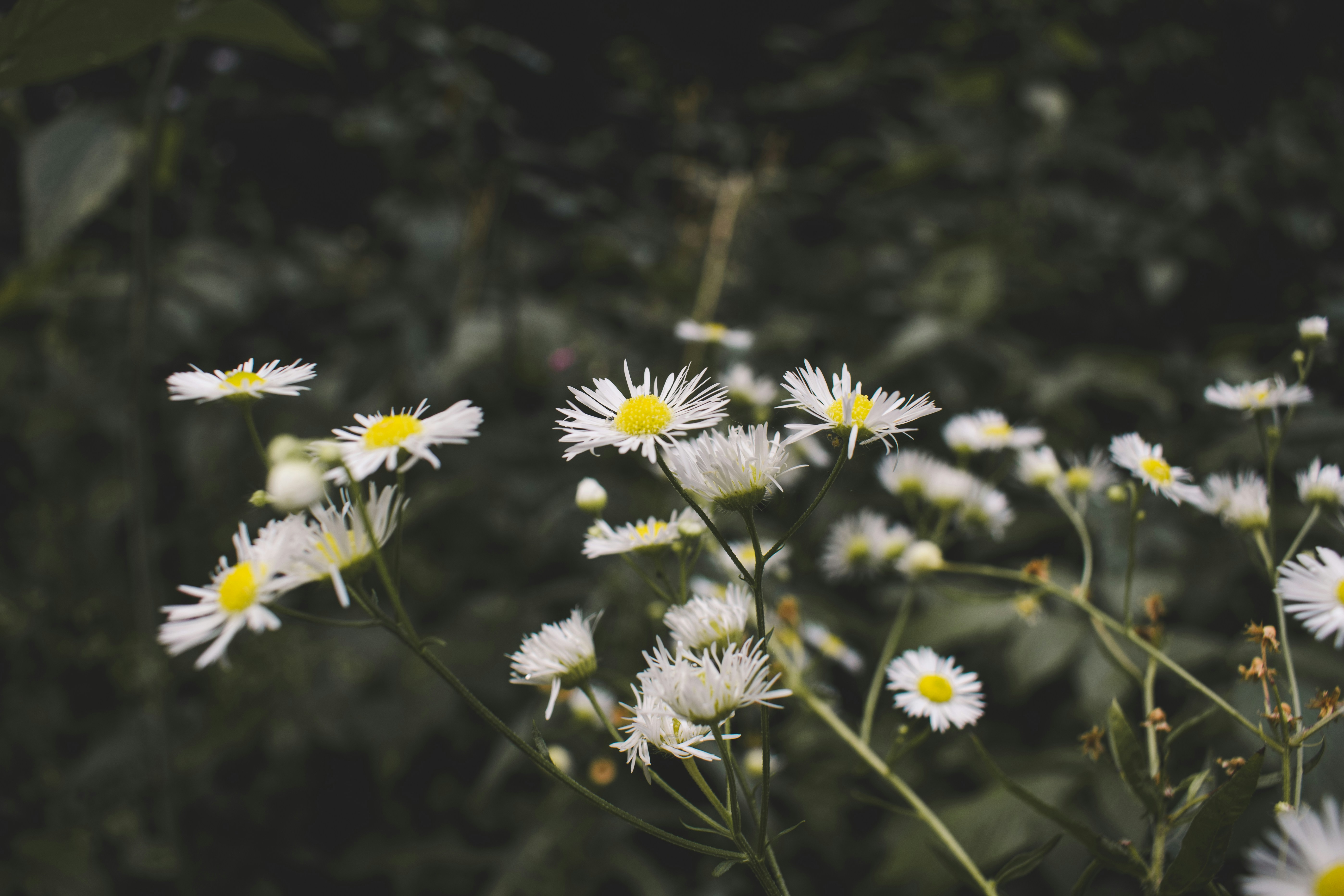 Photo by margagreta_96