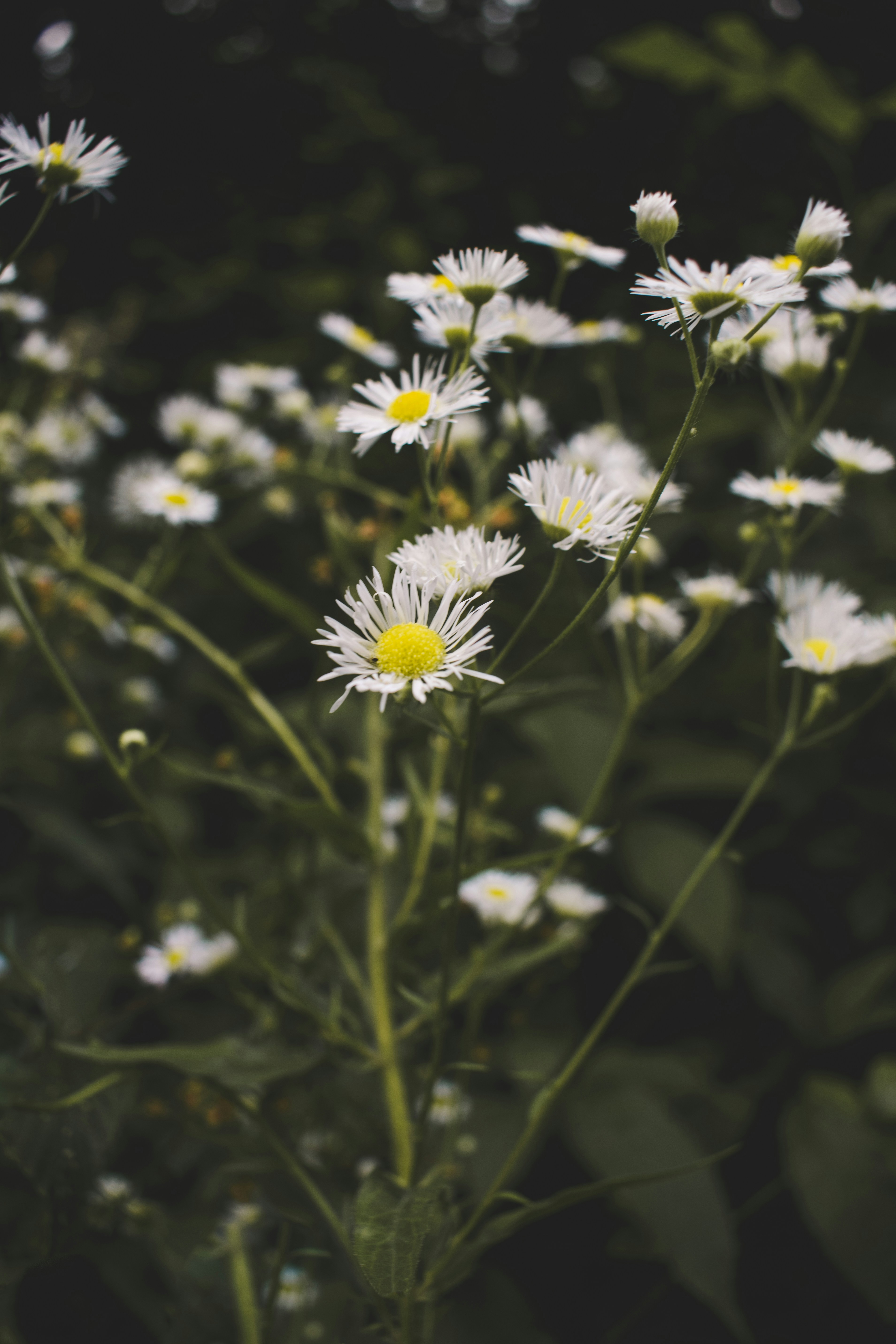 Photo by margagreta_96