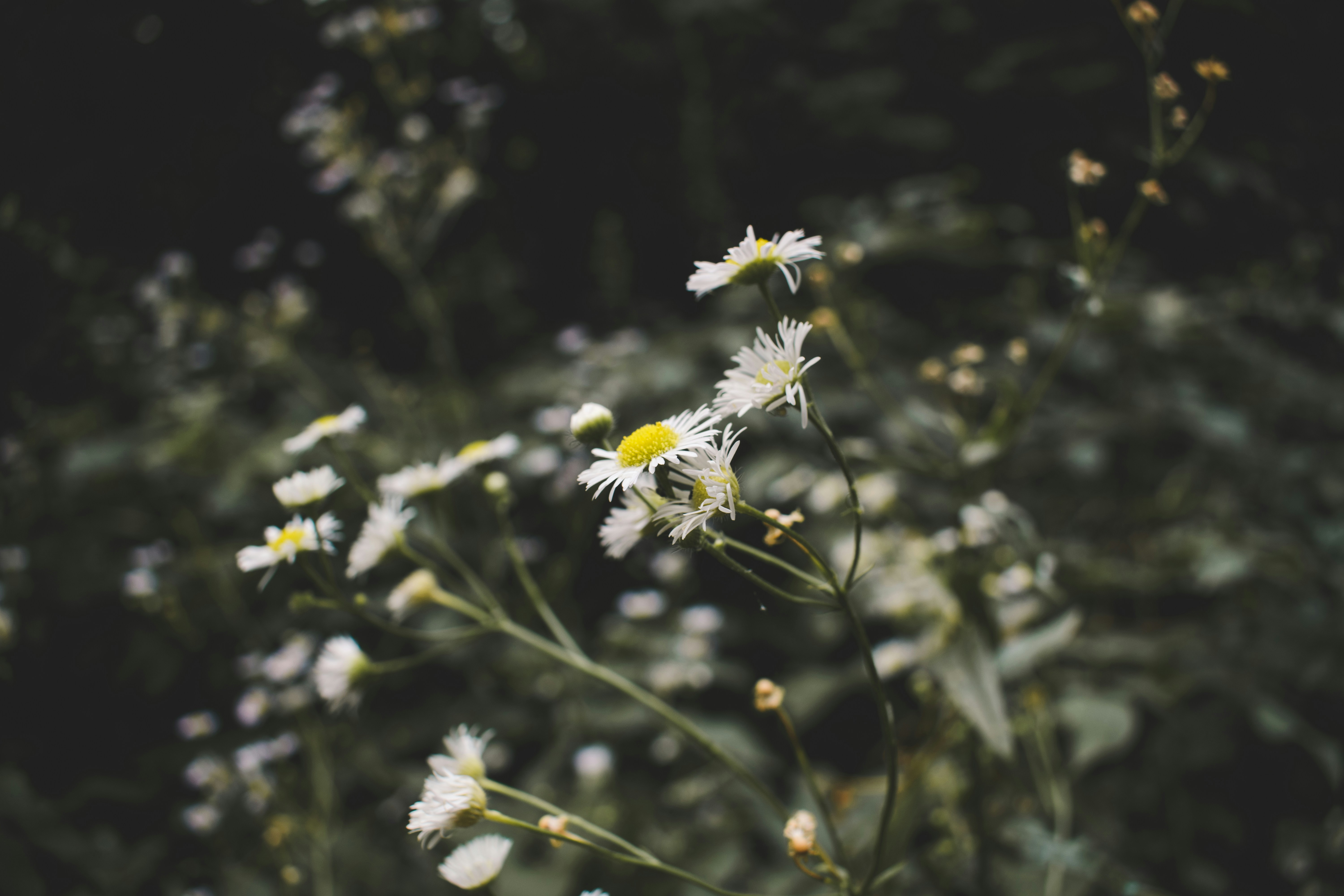 Photo by margagreta_96