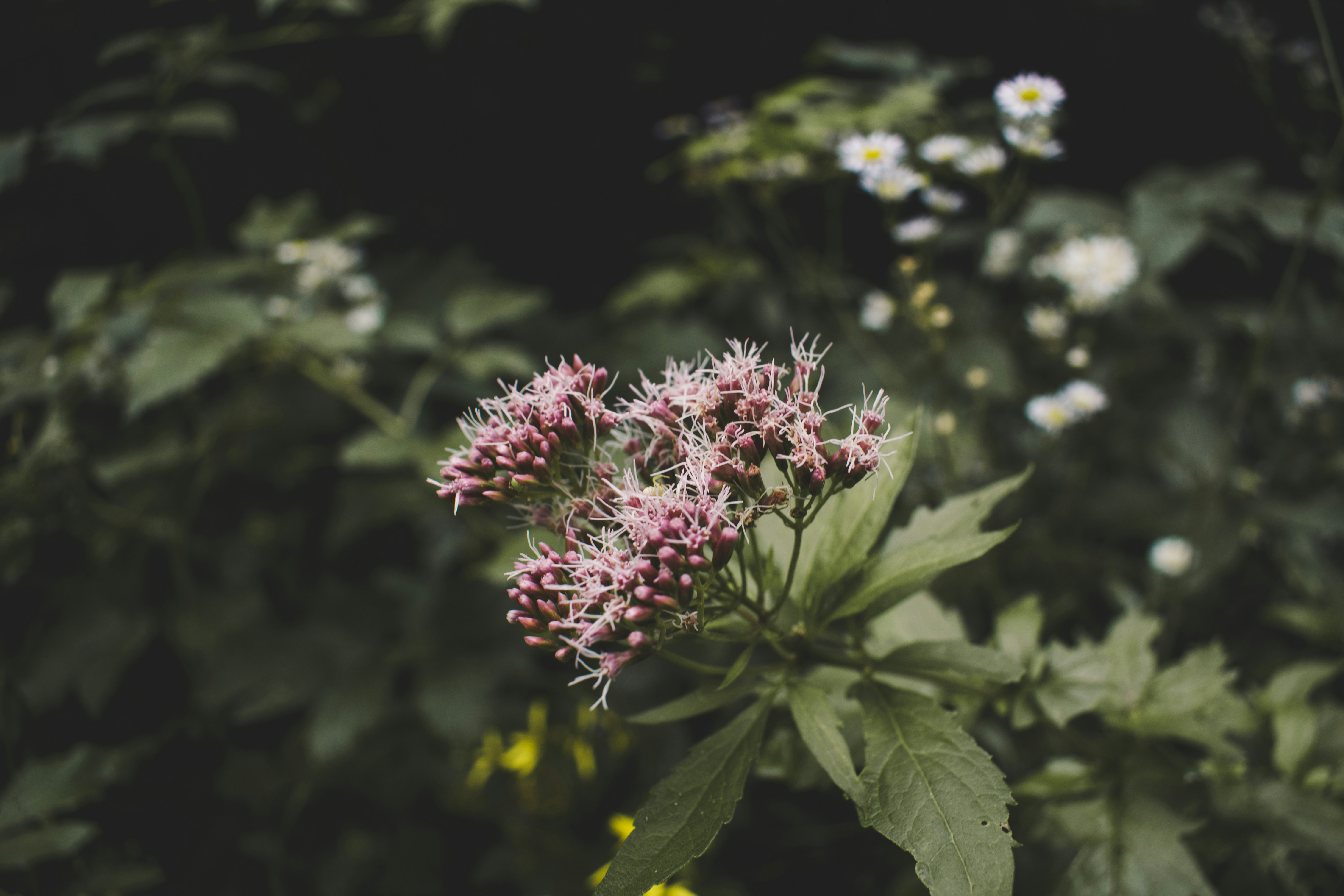 Photo by margagreta_96