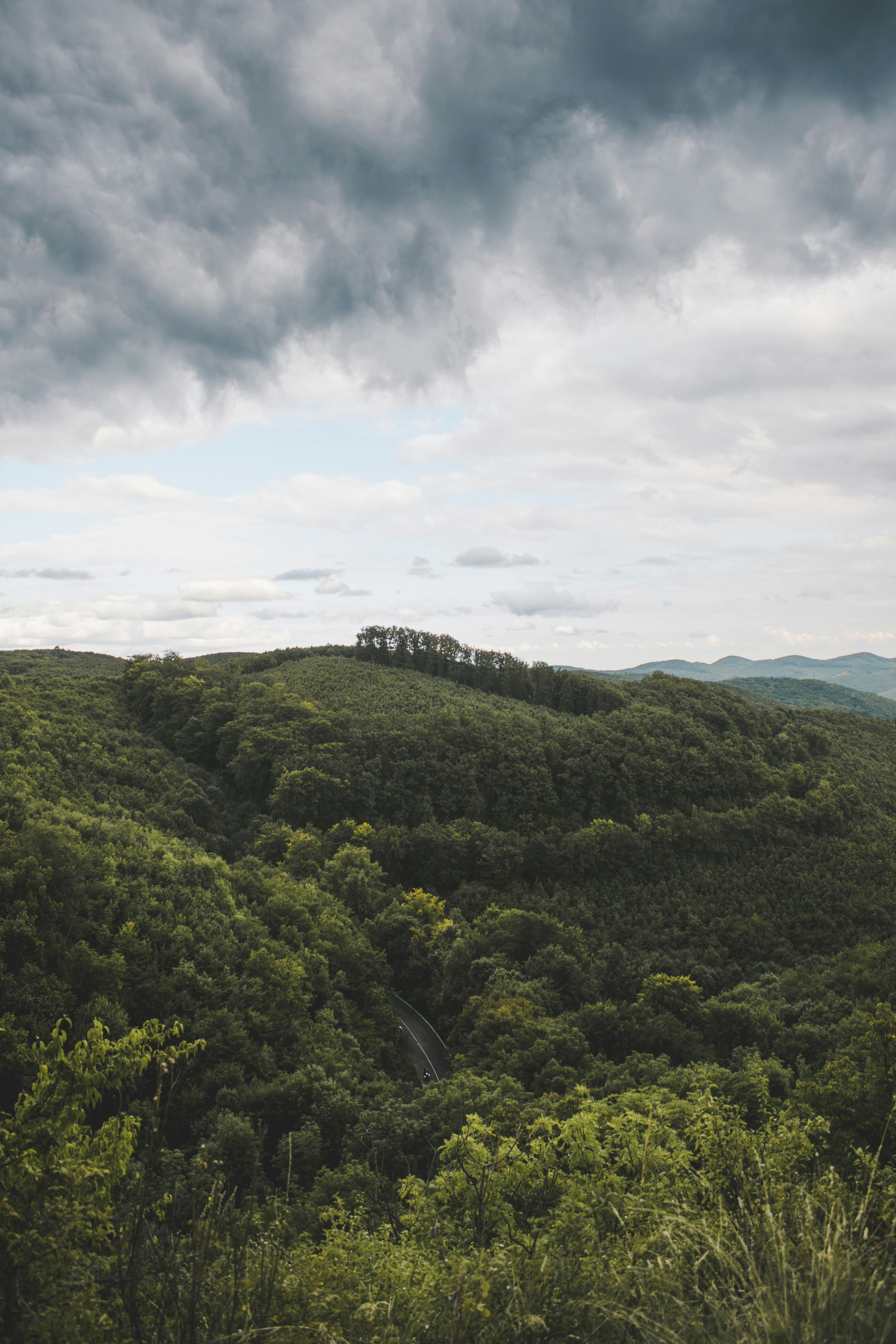 Photo by margagreta_96