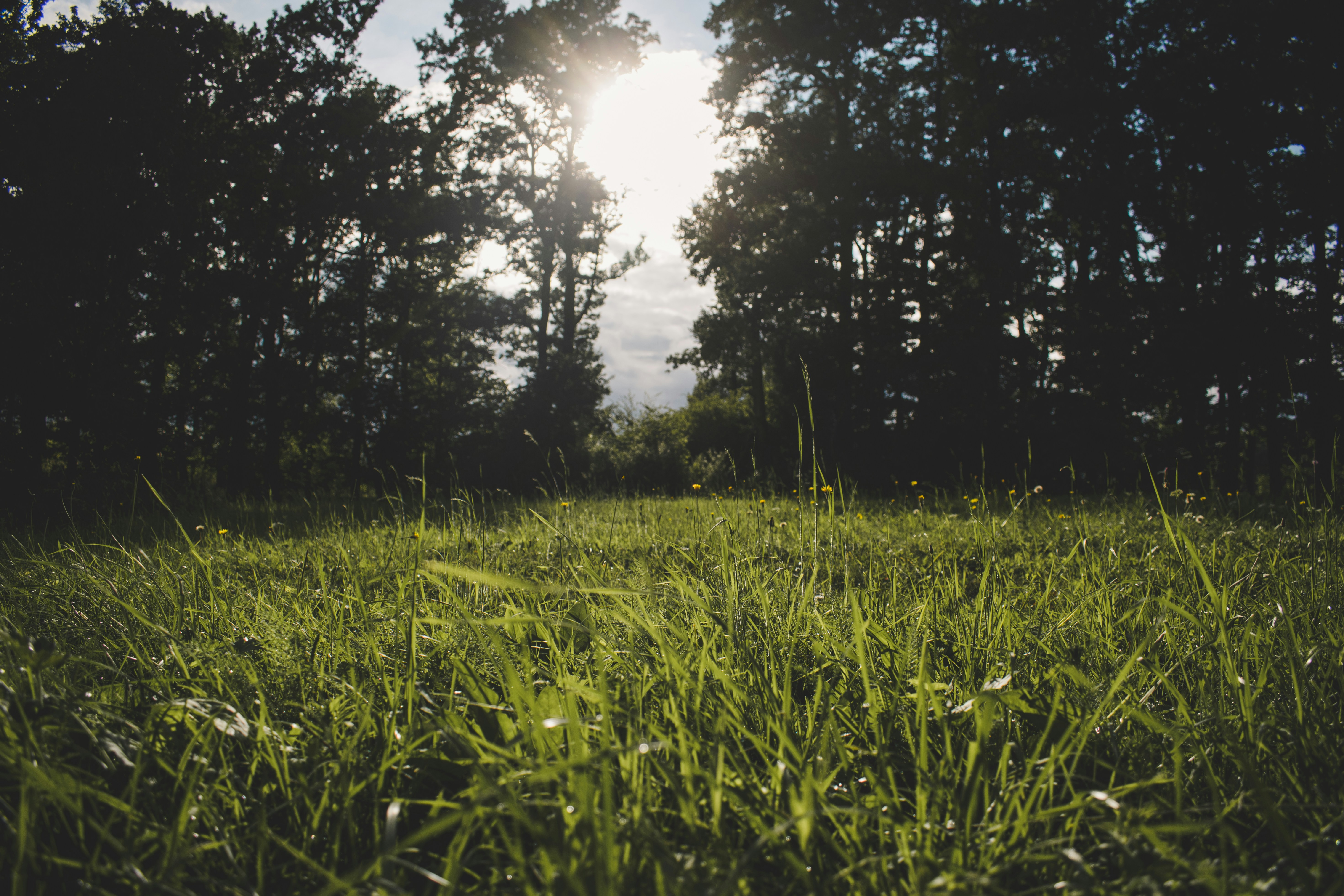 Photo by margagreta_96