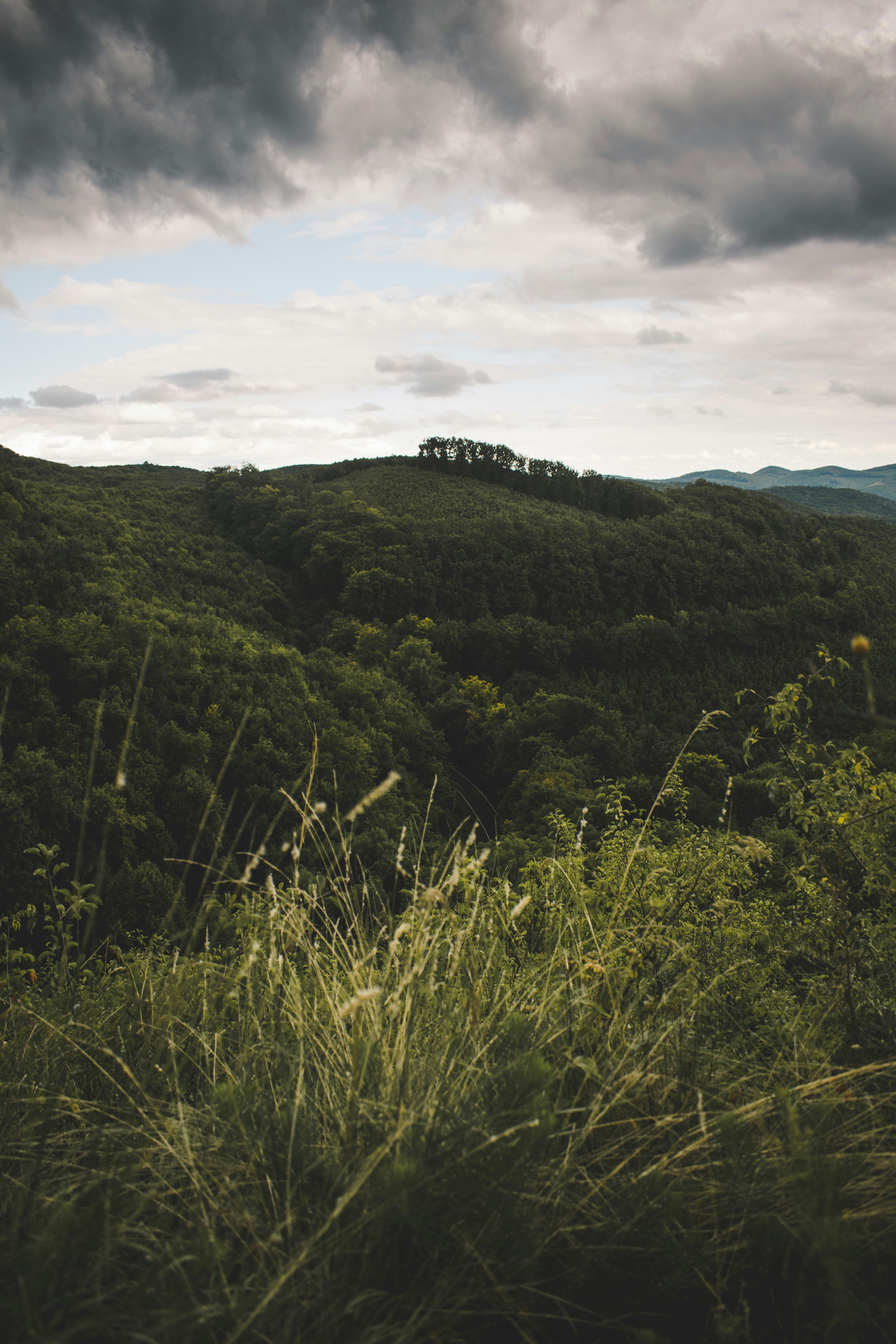 Photo by margagreta_96