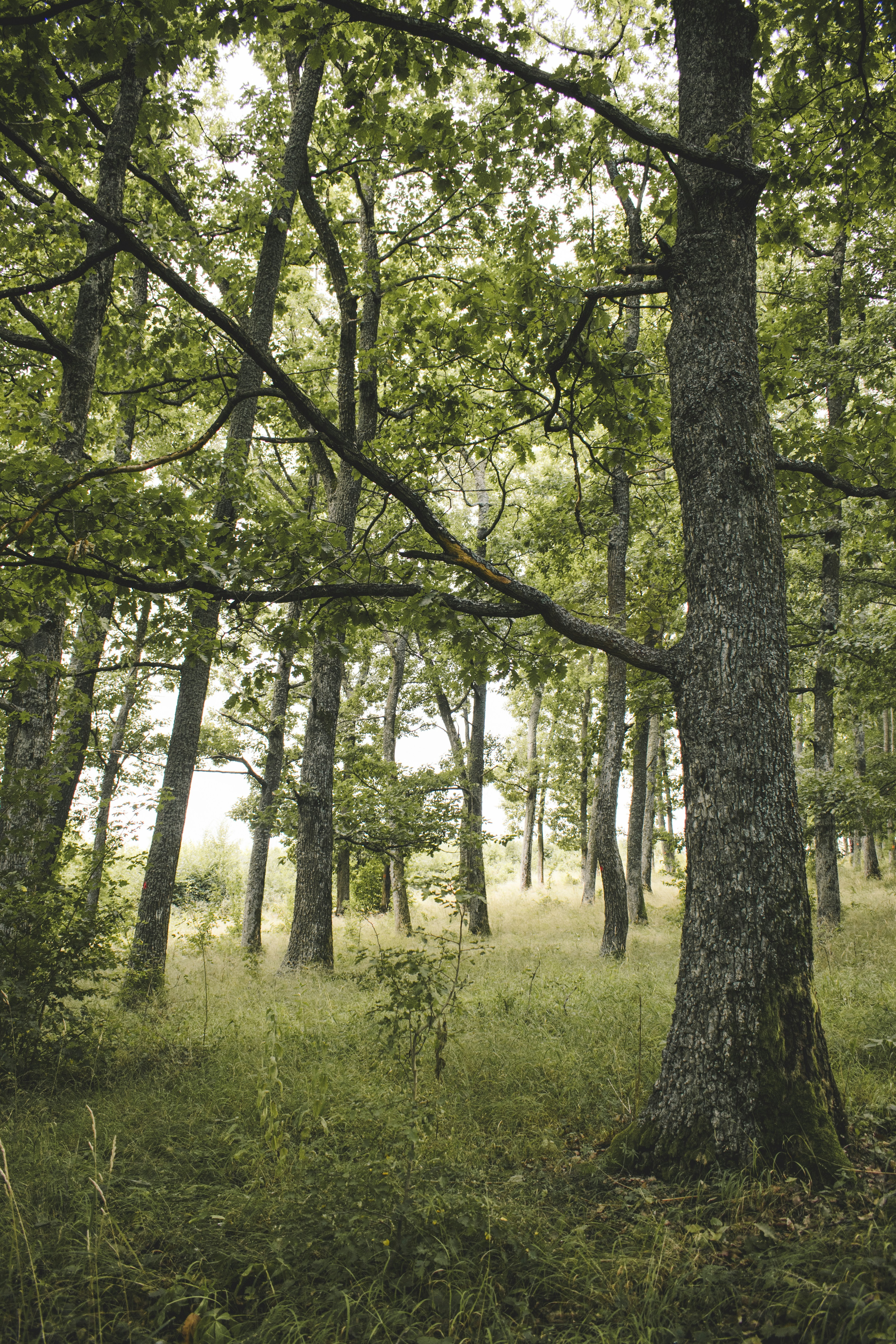 Photo by margagreta_96