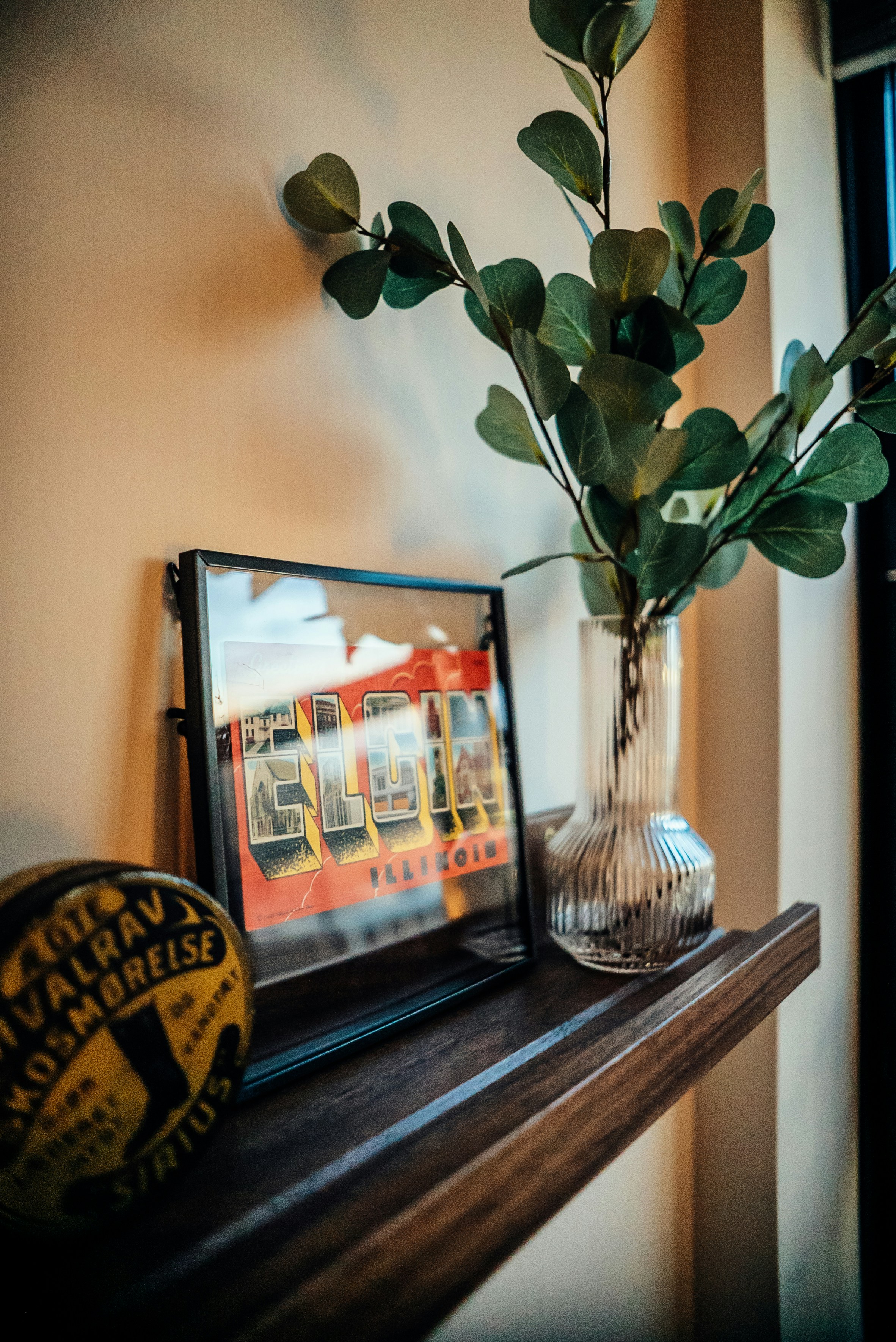 a vase with a plant in it