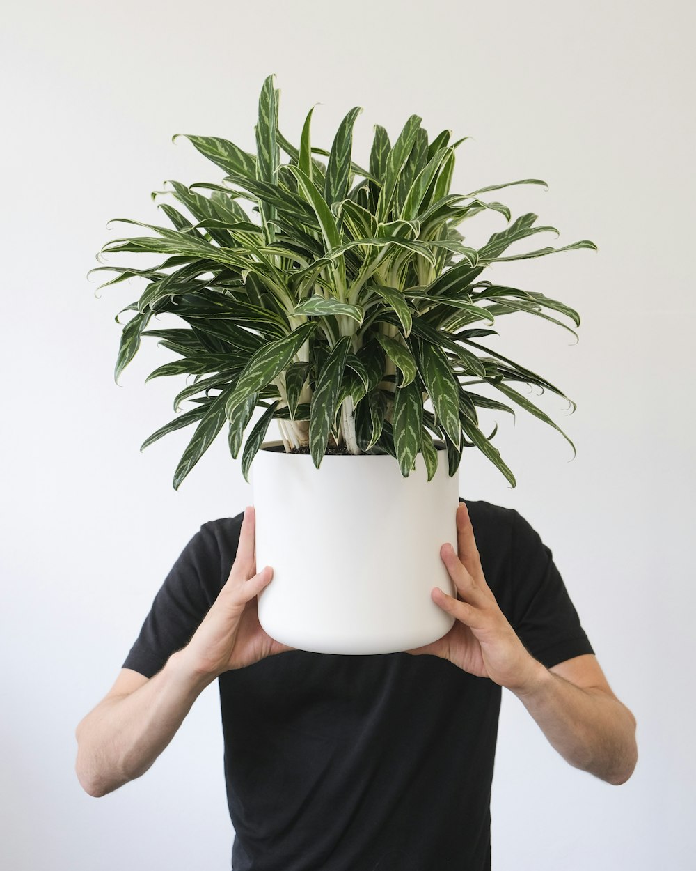a person holding their hands up in front of a potted plant