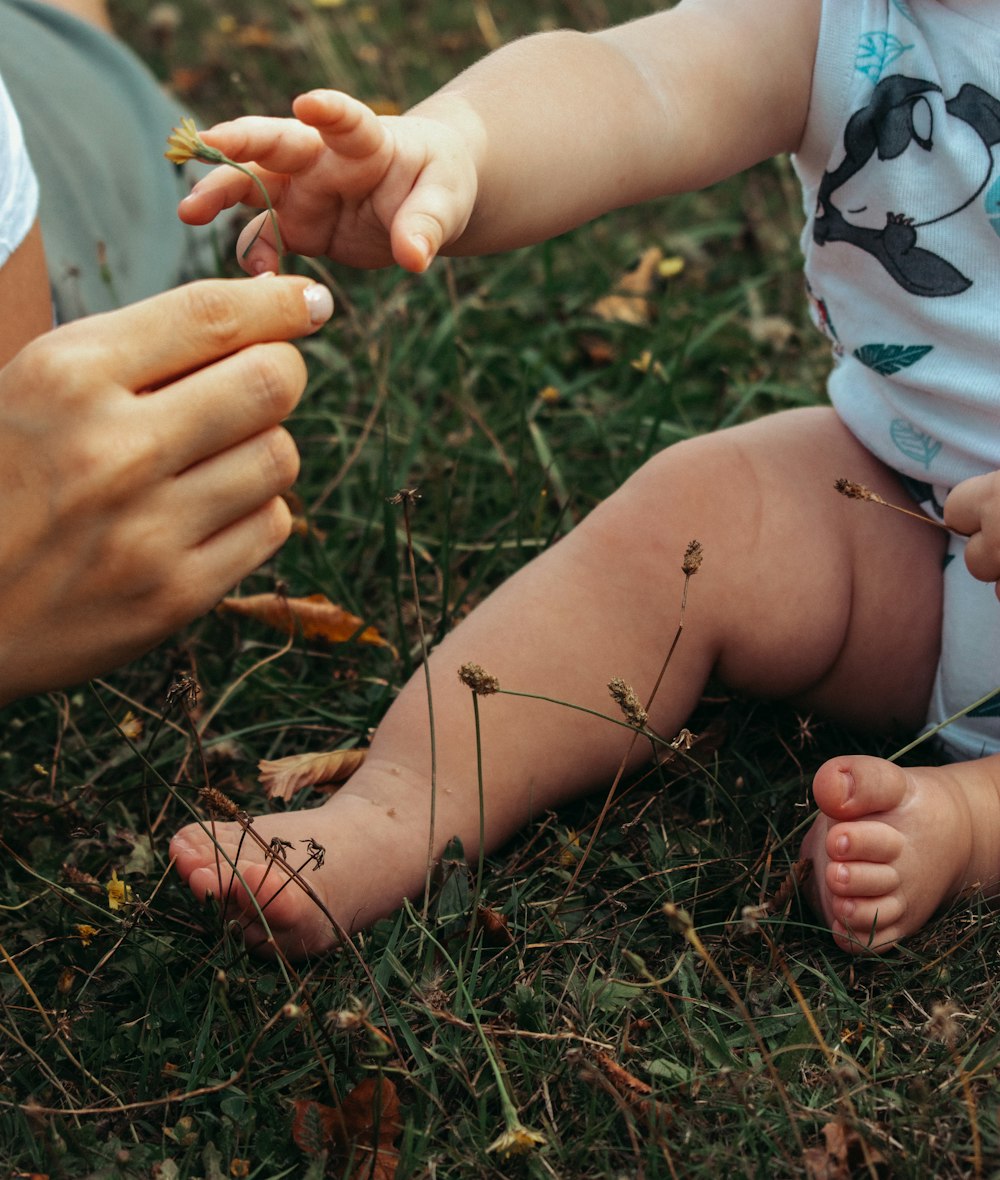 a group of people planting seeds