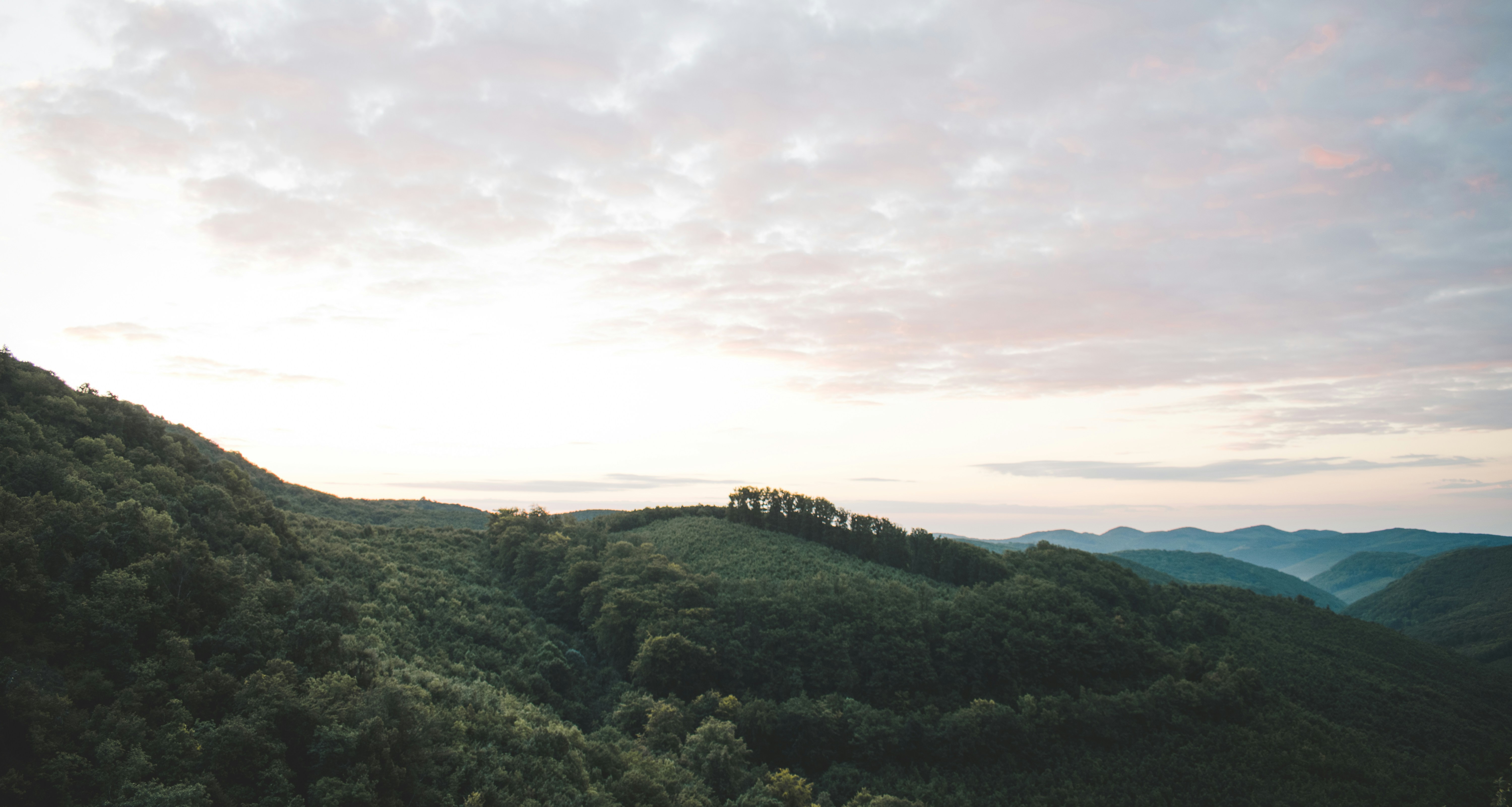 Photo by margagreta_96