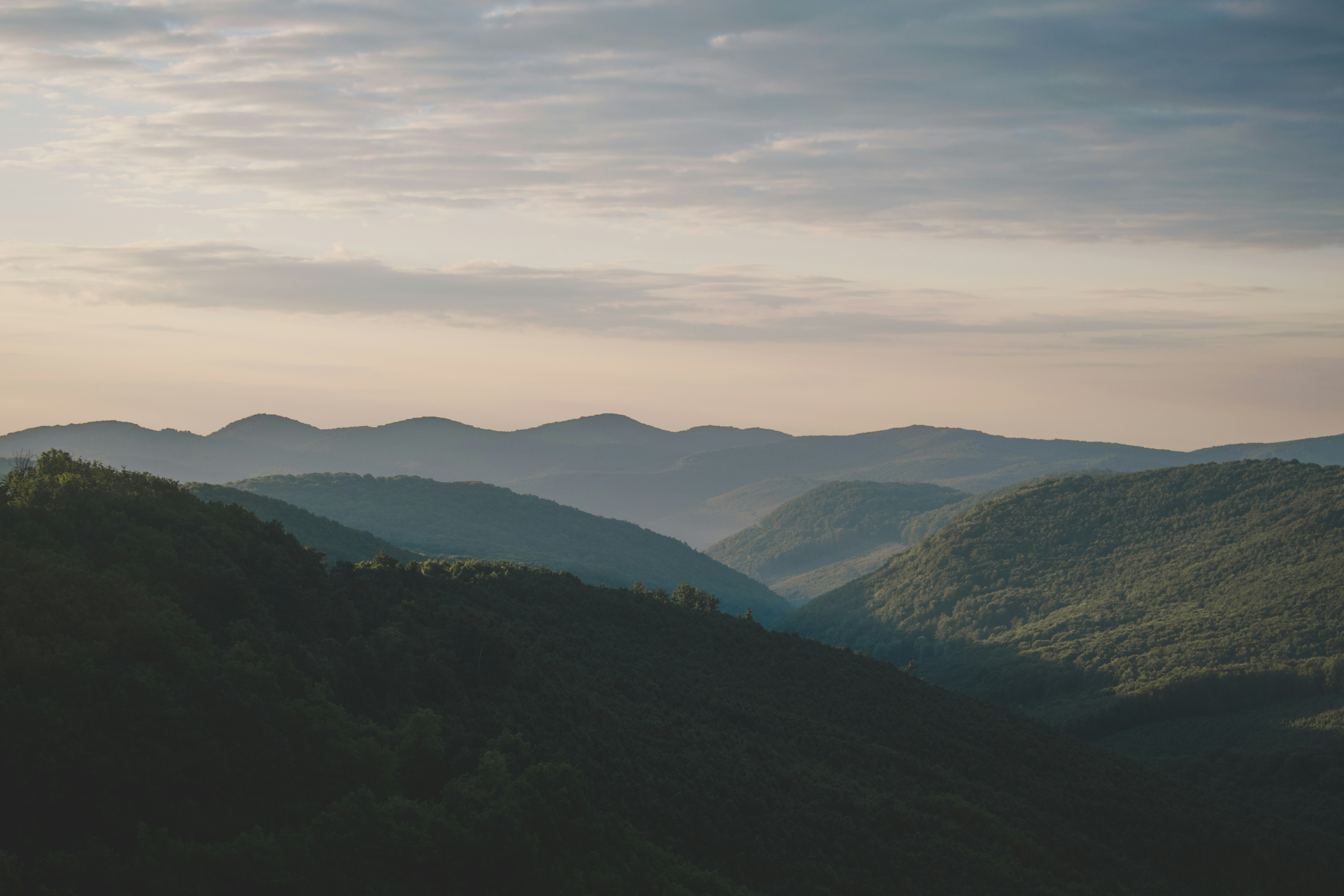 Photo by margagreta_96