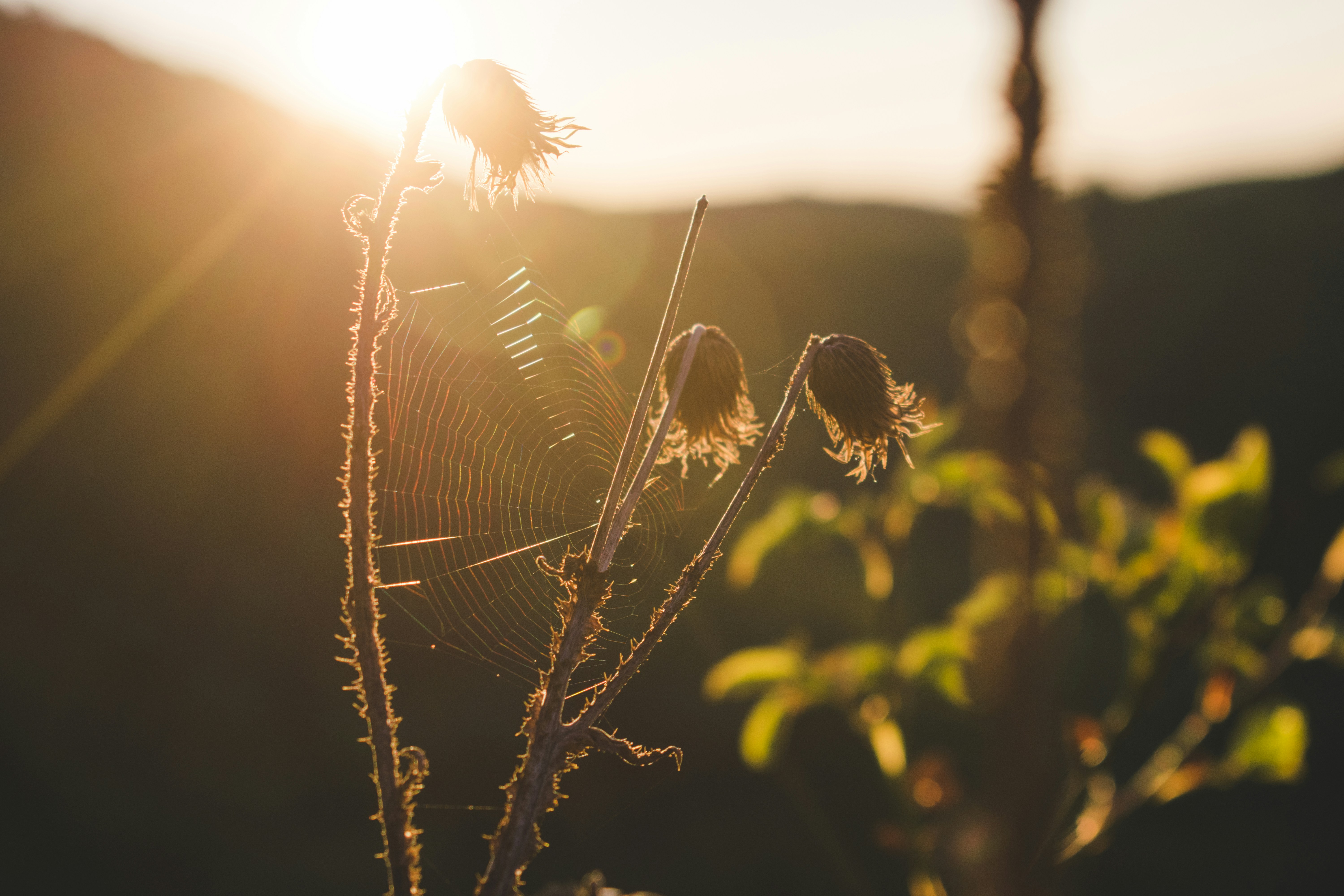 Photo by margagreta_96