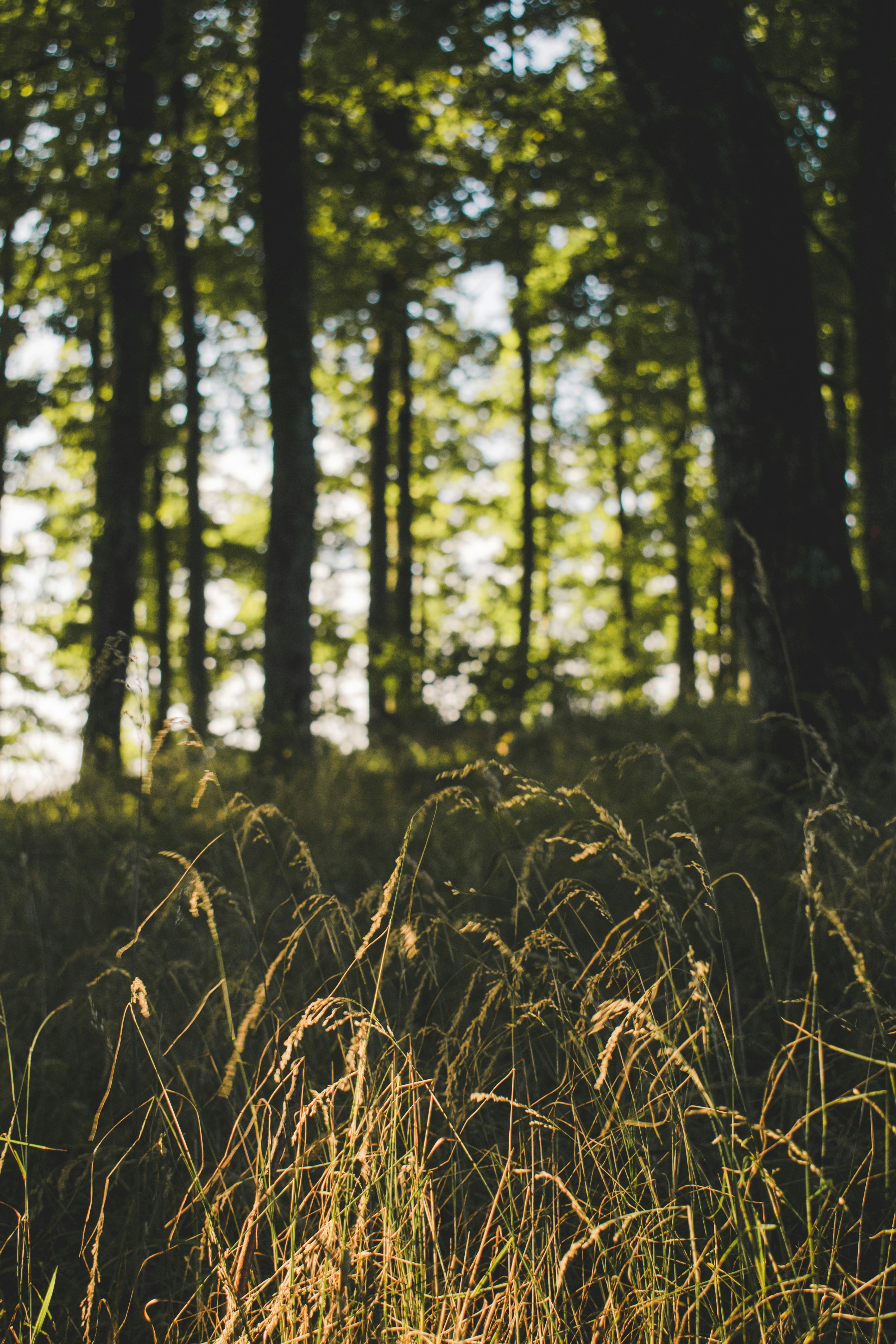 Photo by margagreta_96