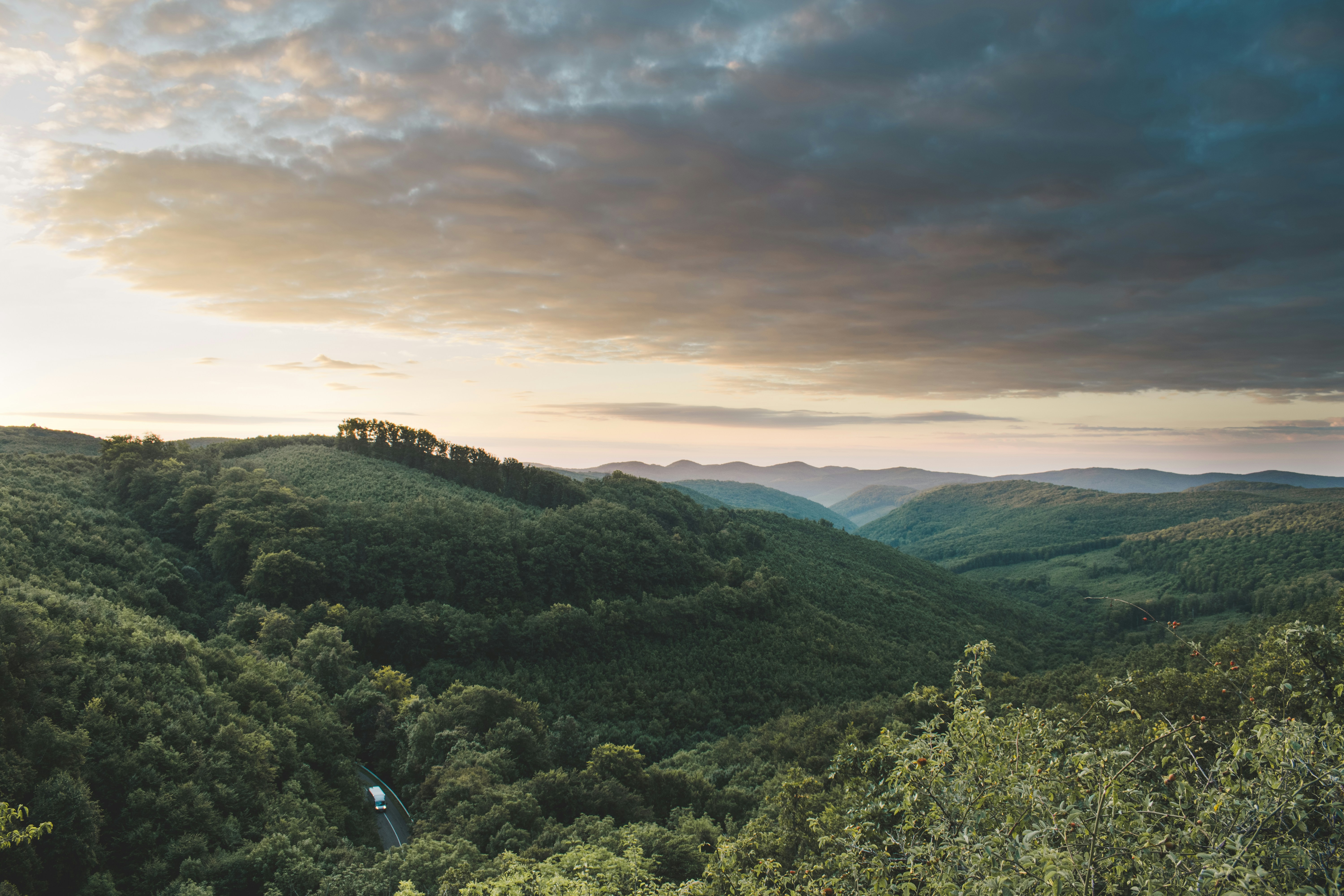 Photo by margagreta_96