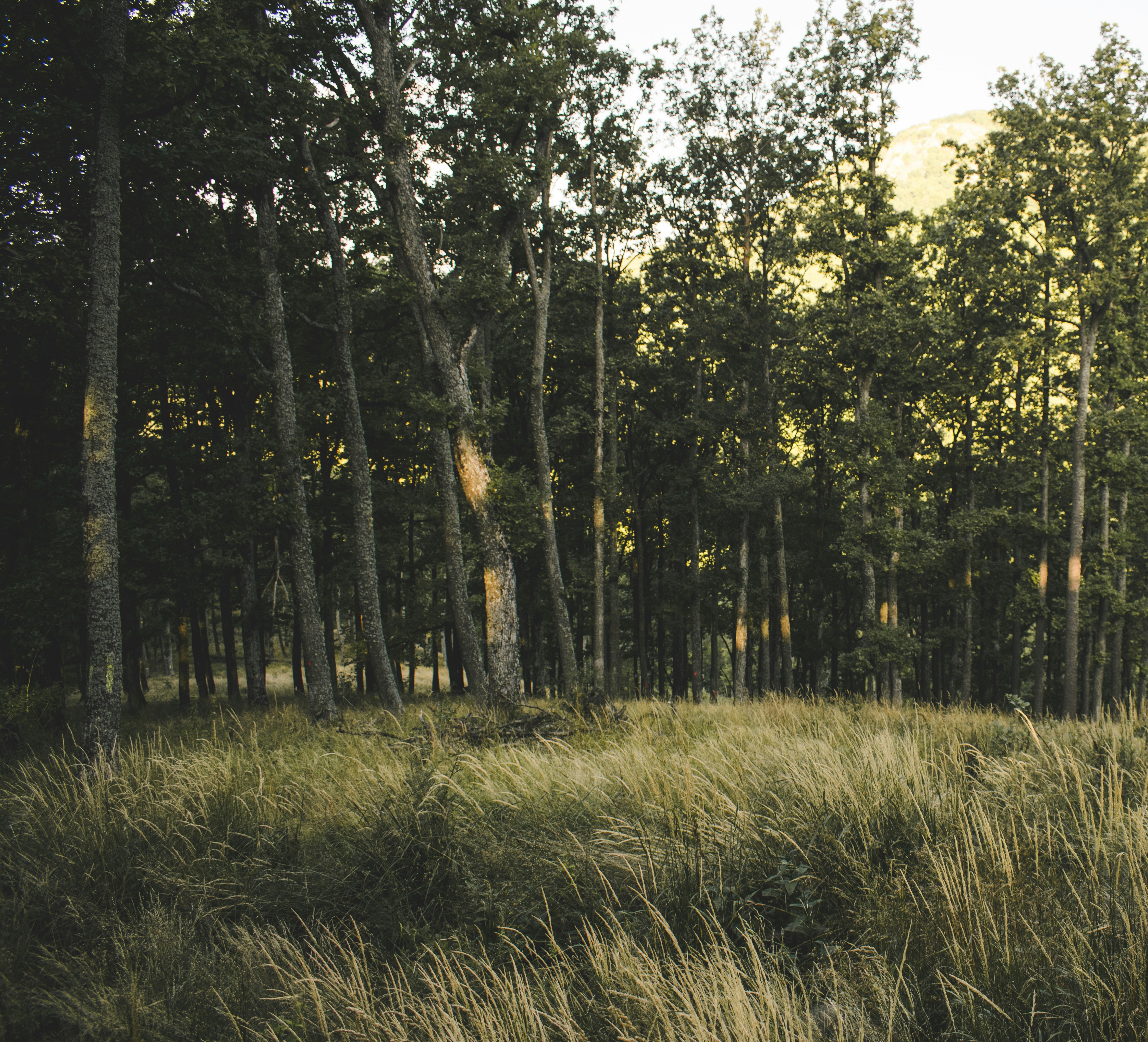 Photo by margagreta_96