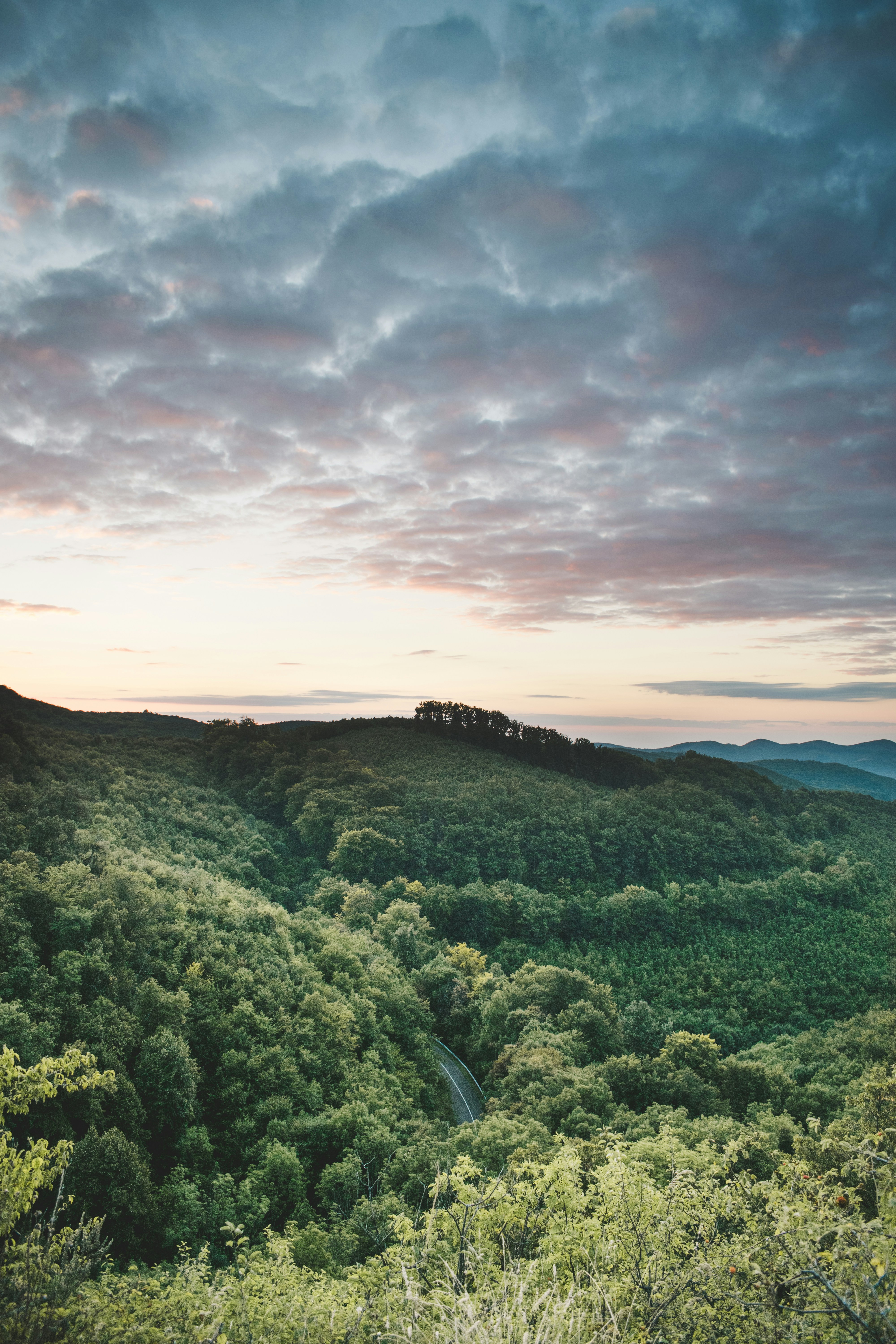 Photo by margagreta_96