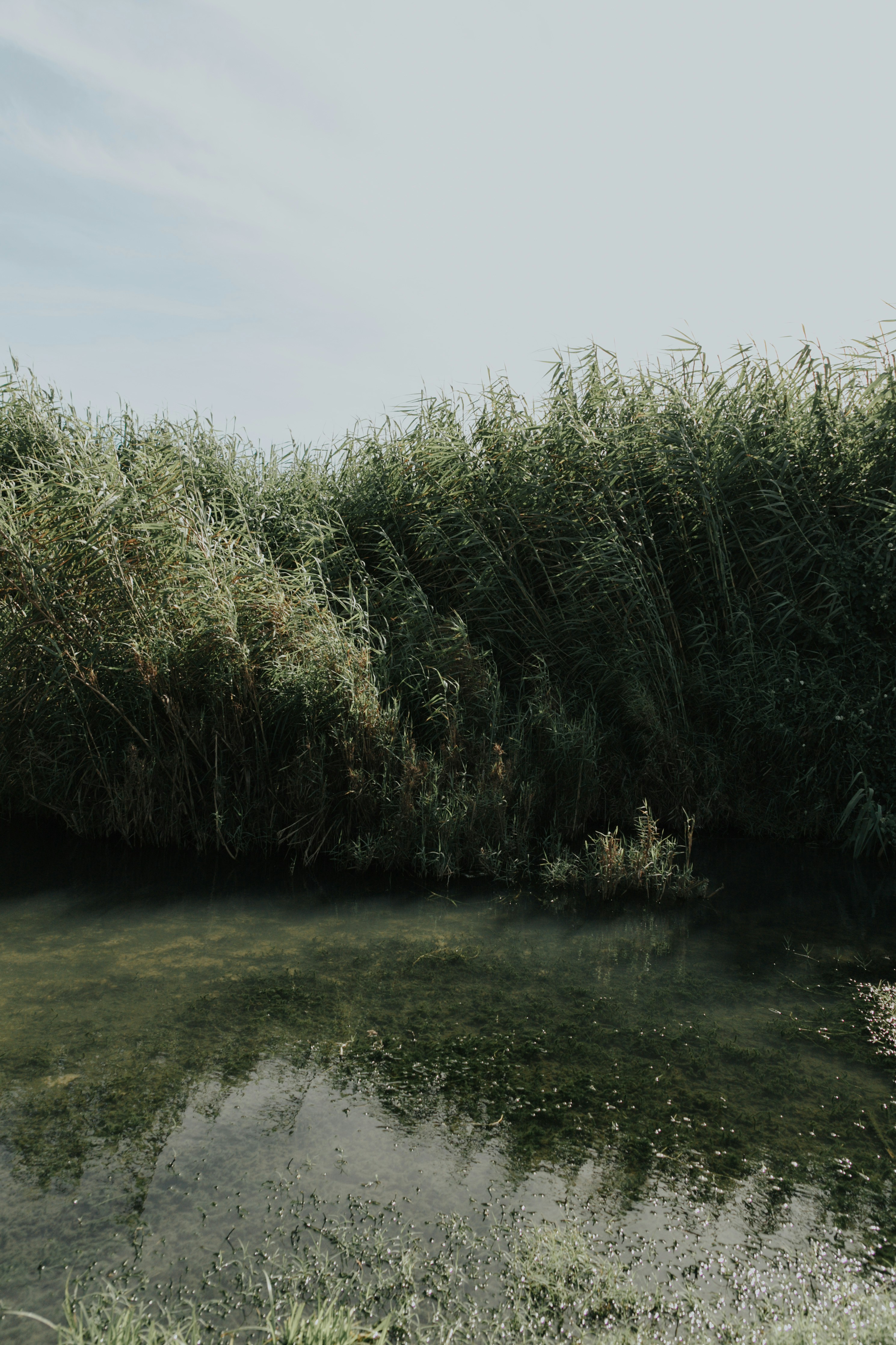 Photo by anvisualphoto_