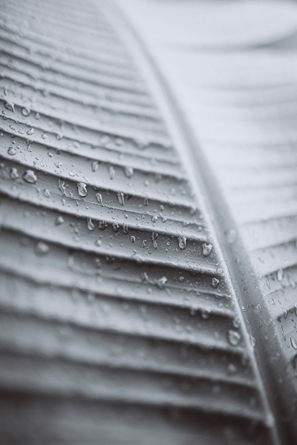 a close up of a wood plank