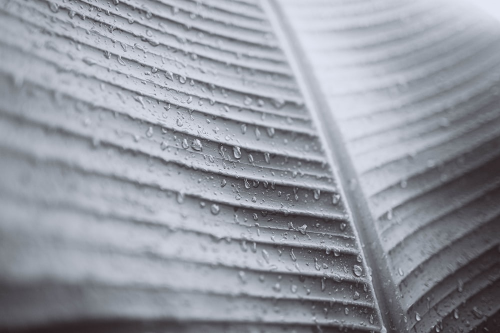 a close up of a wood surface