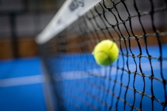 a tennis ball in a net