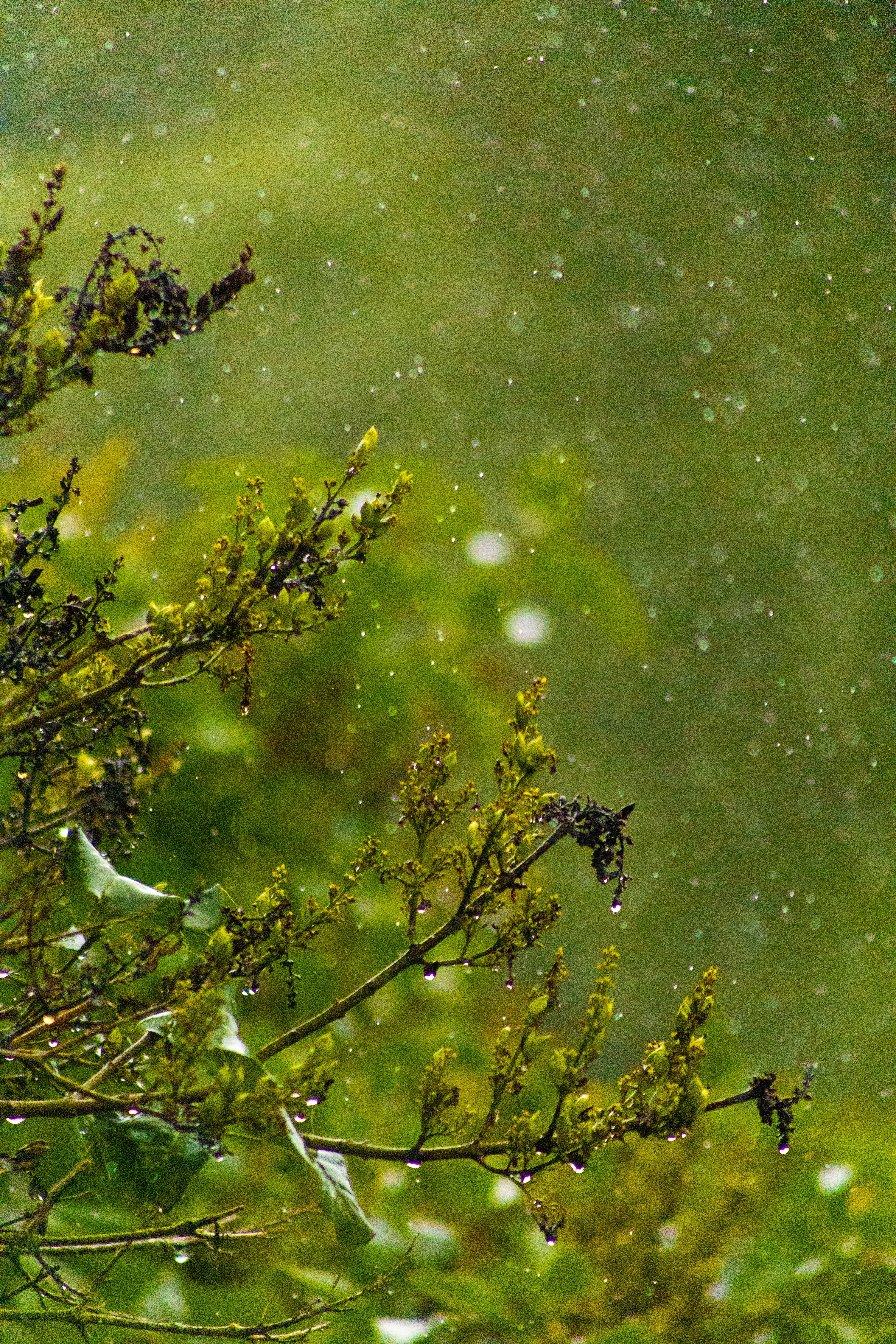 Photo by rubezismartins