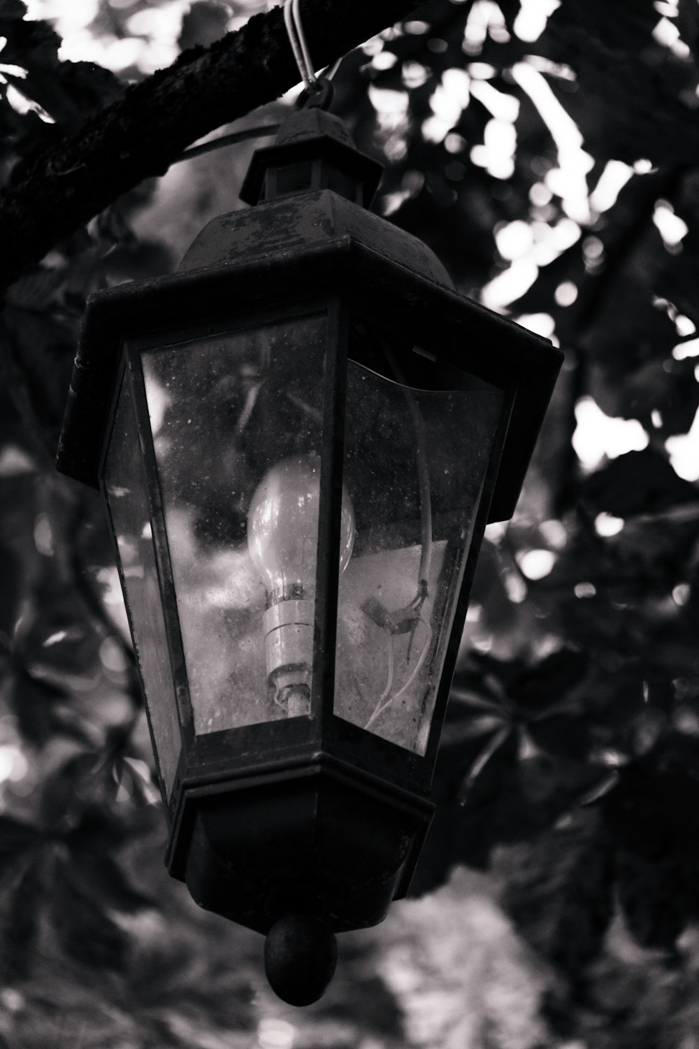 a street light from a tree