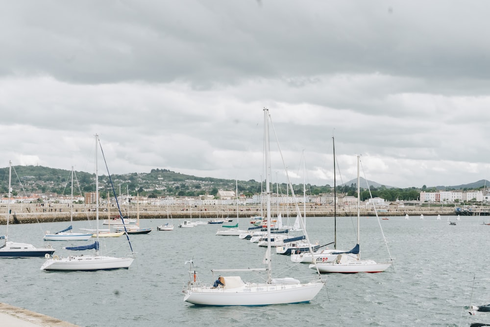 a group of boats in a harbor