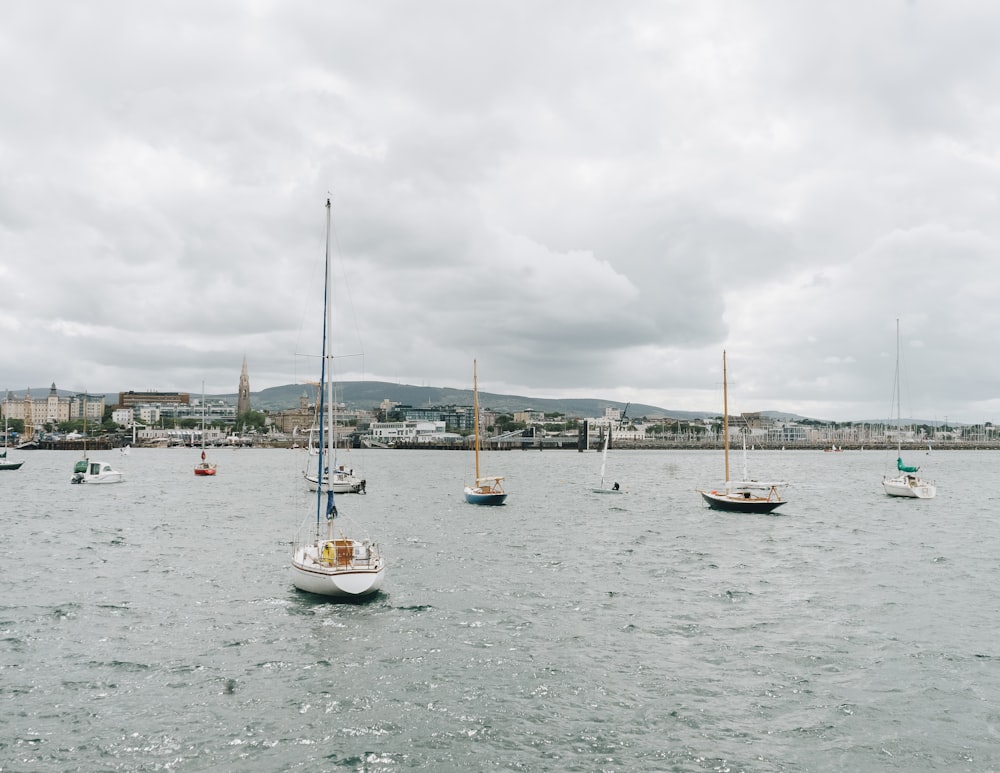 a group of boats in a harbor