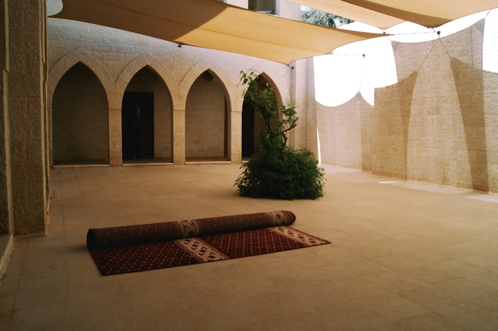 a courtyard with a planter and a rug