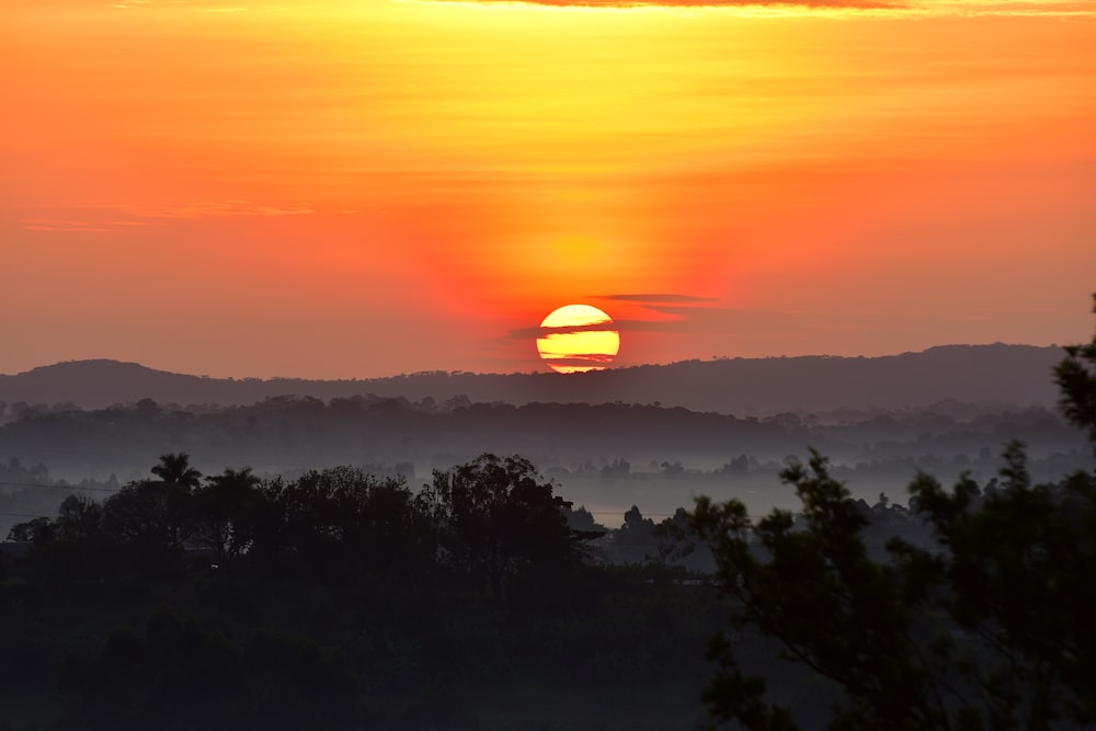 a sunset over a forest