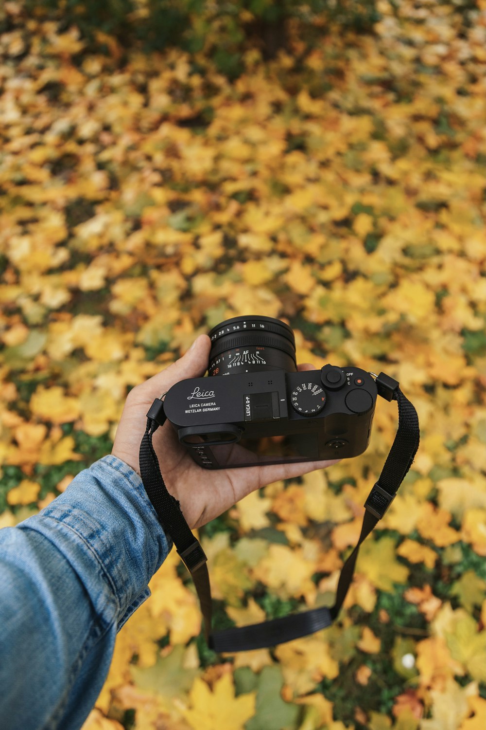 a person holding a camera