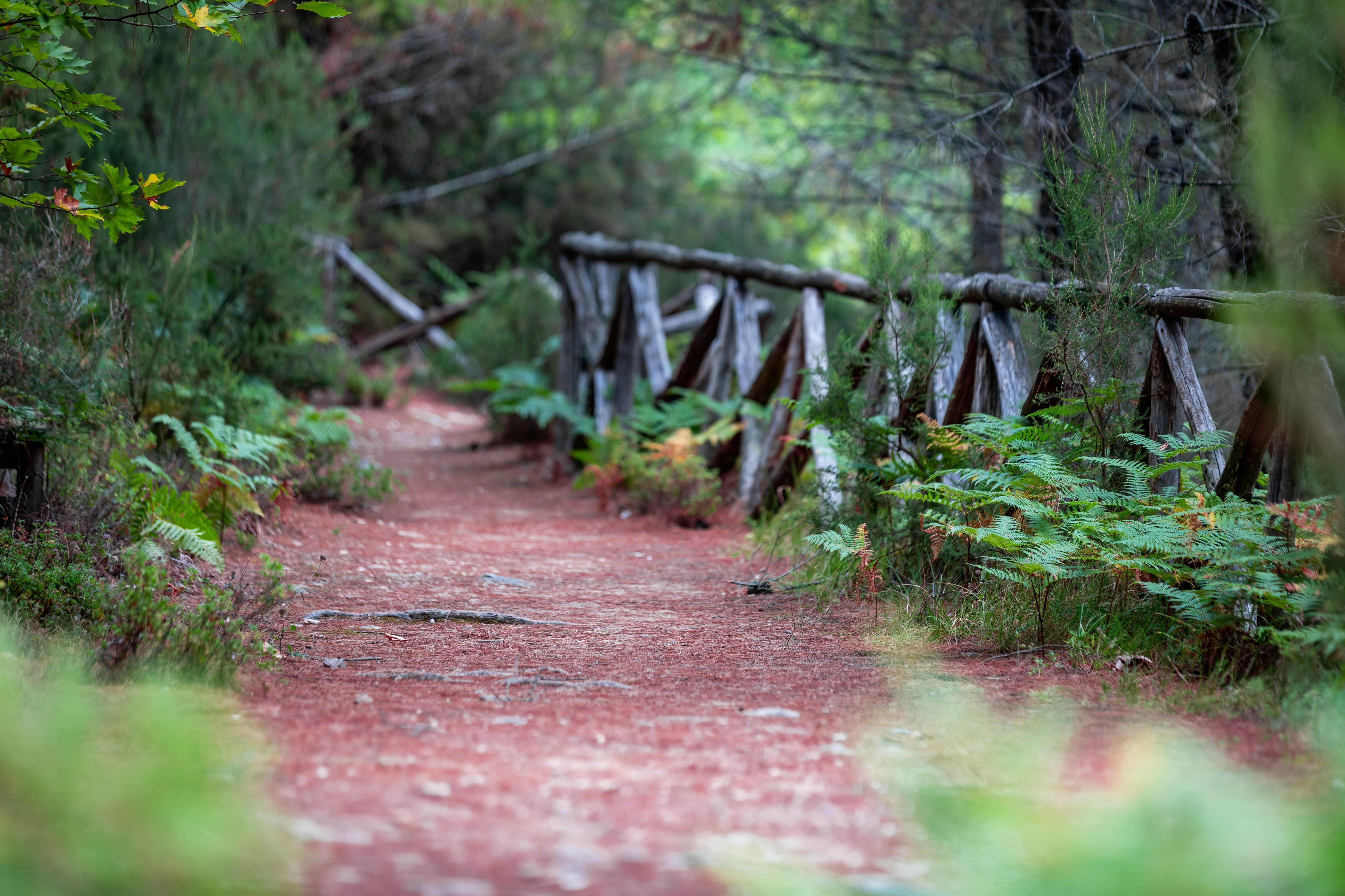 Photo by ovidiugruescu
