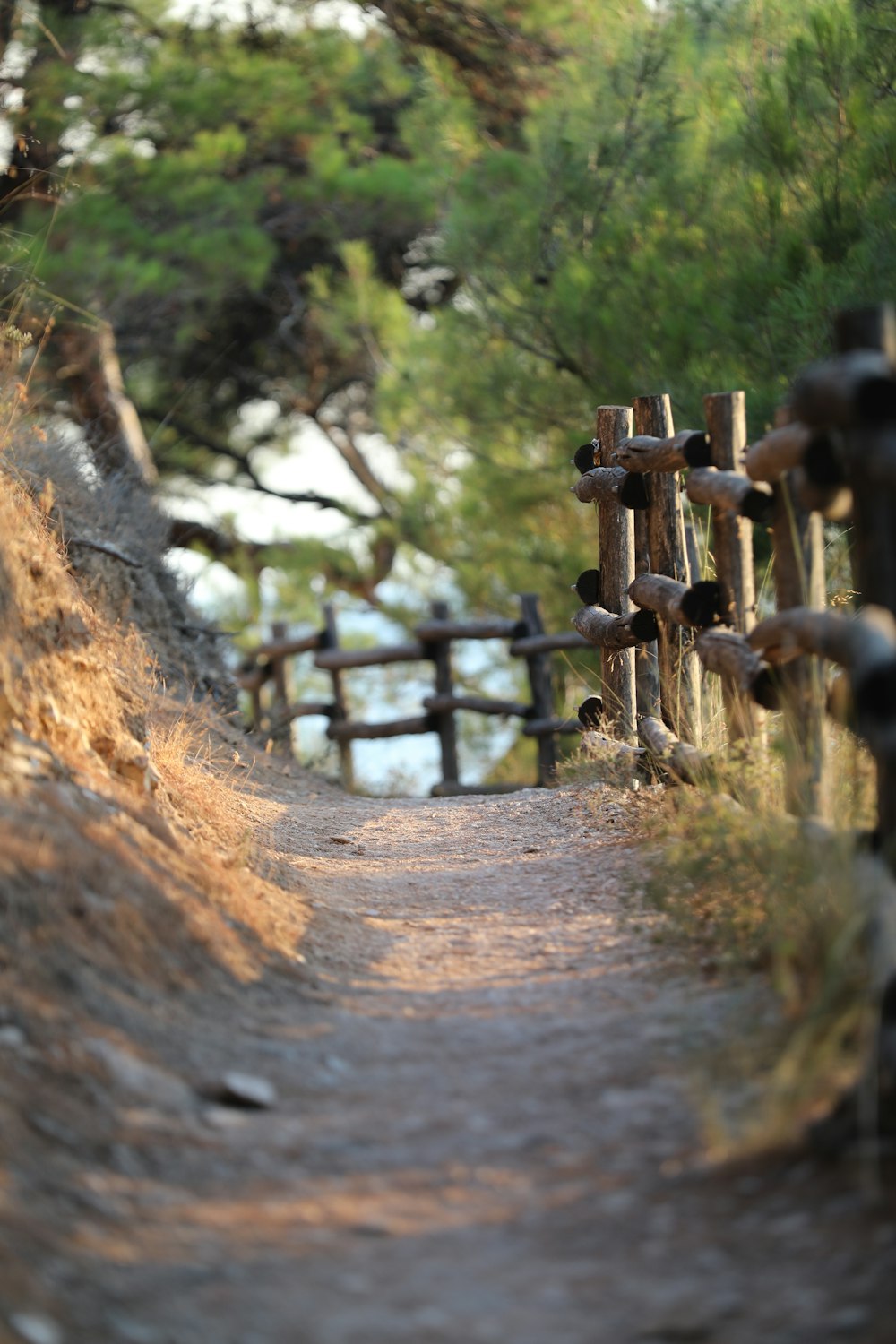 a wooden bridge over a river