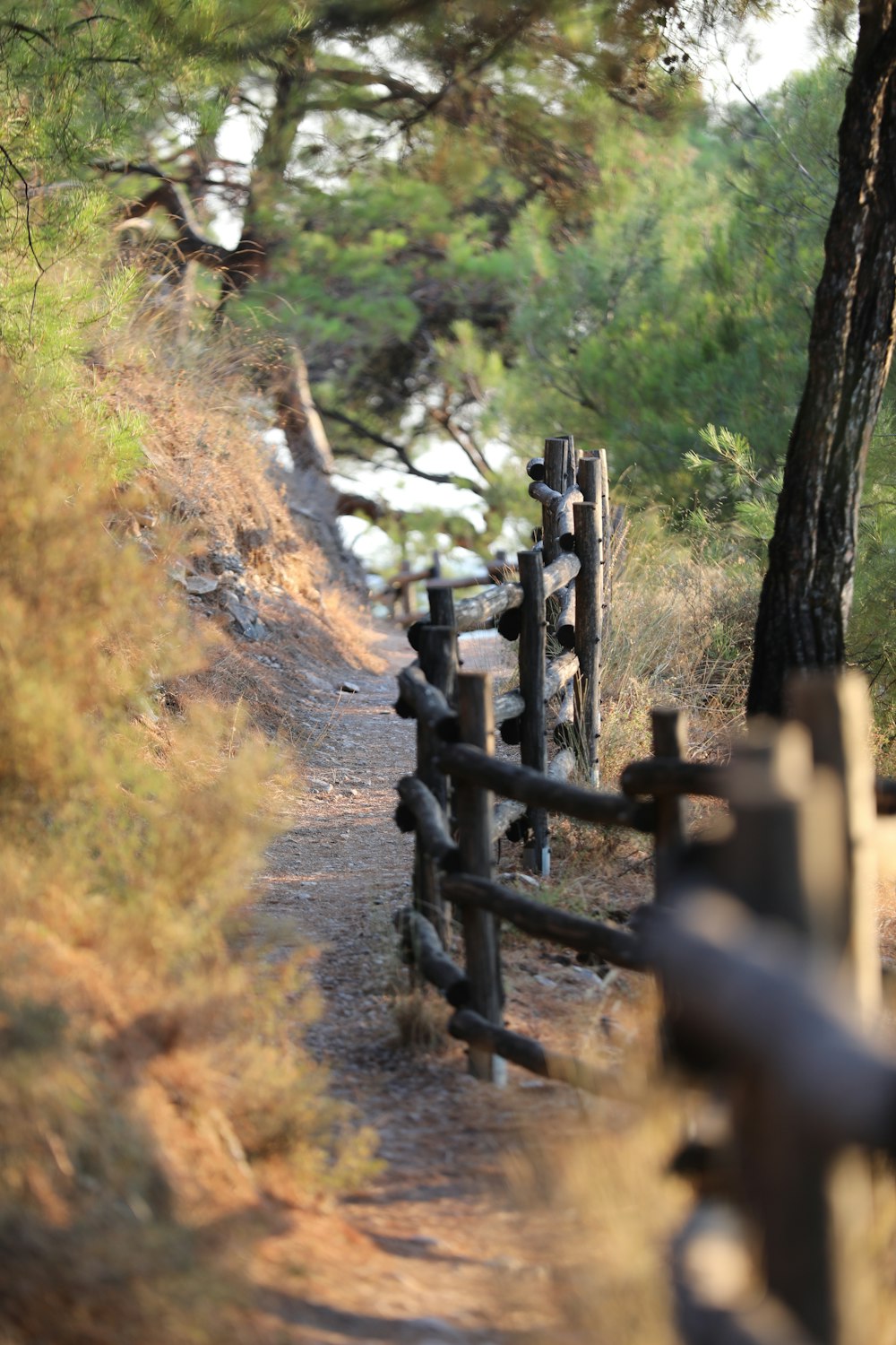 a fence on a dirt path