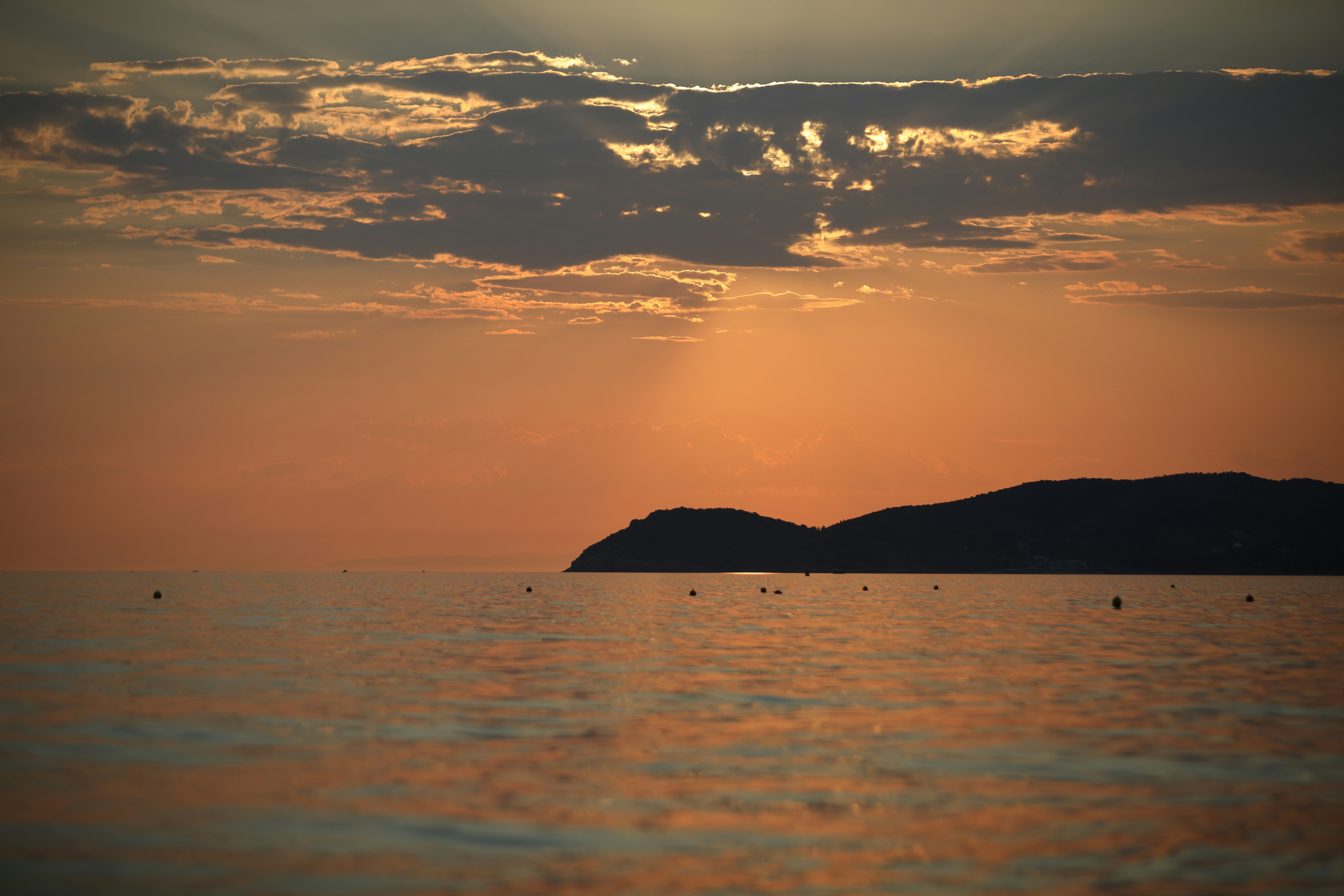 Photo by ovidiugruescu