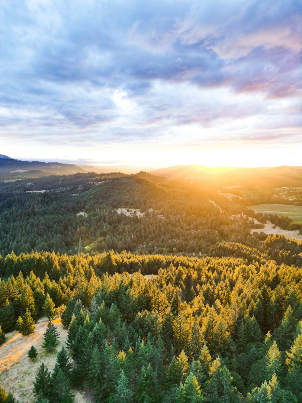 Un paysage avec des arbres et des collines