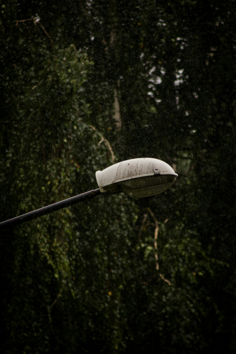 a white car parked in the woods