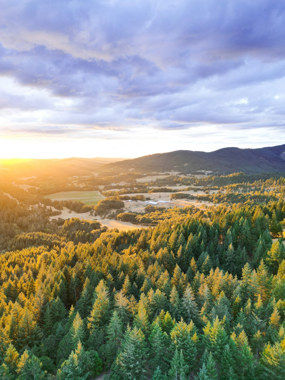 a landscape with trees and hills in the back