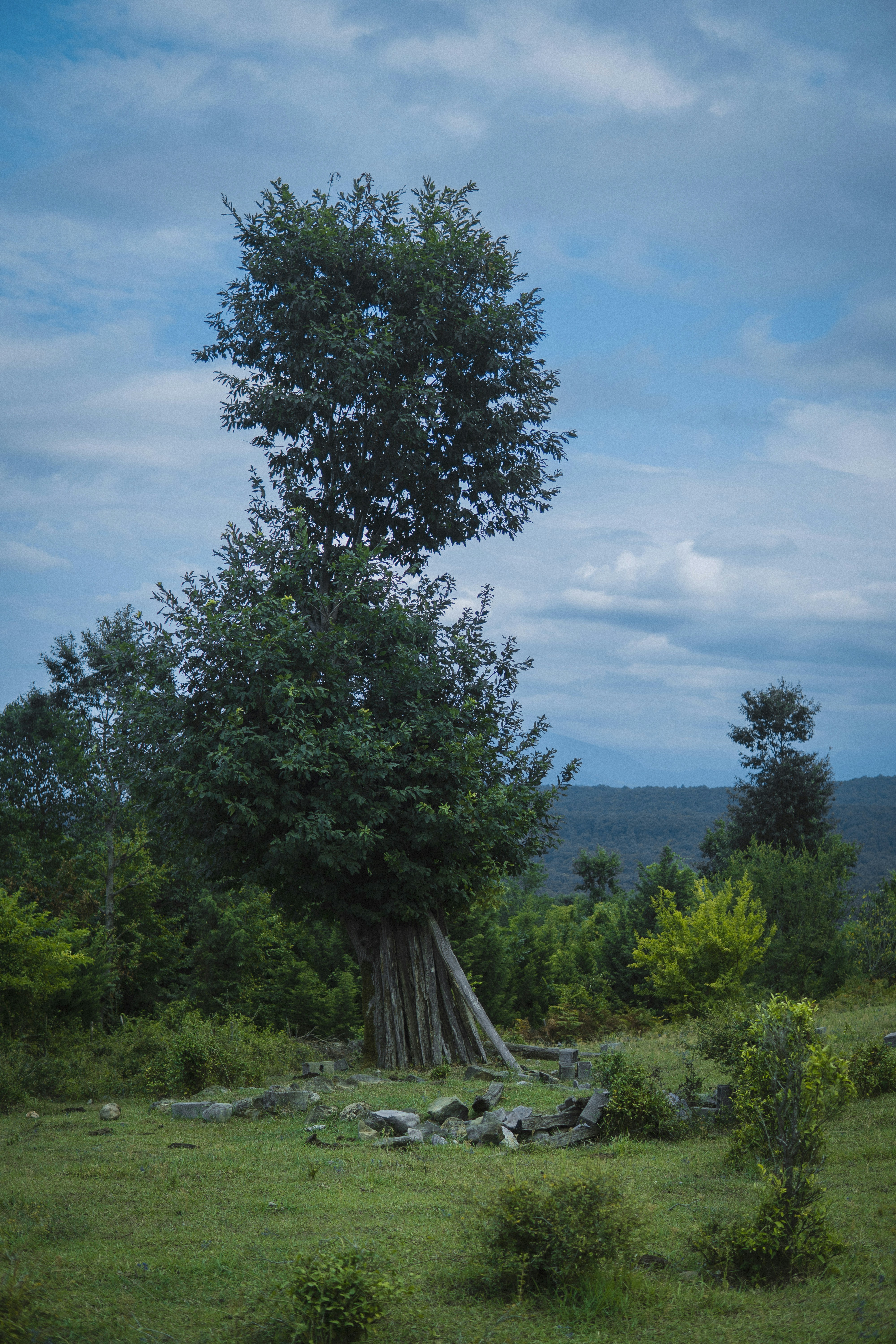 Photo by soheilkmp