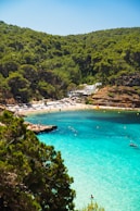 a beach with people swimming
