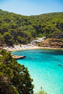 a beach with people swimming
