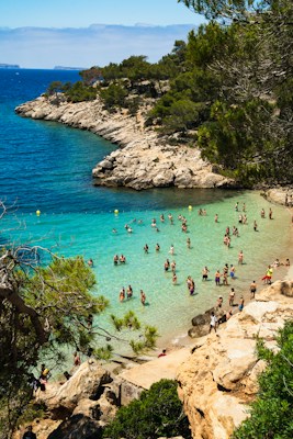 A turquoise bay ringed by pines and limestone