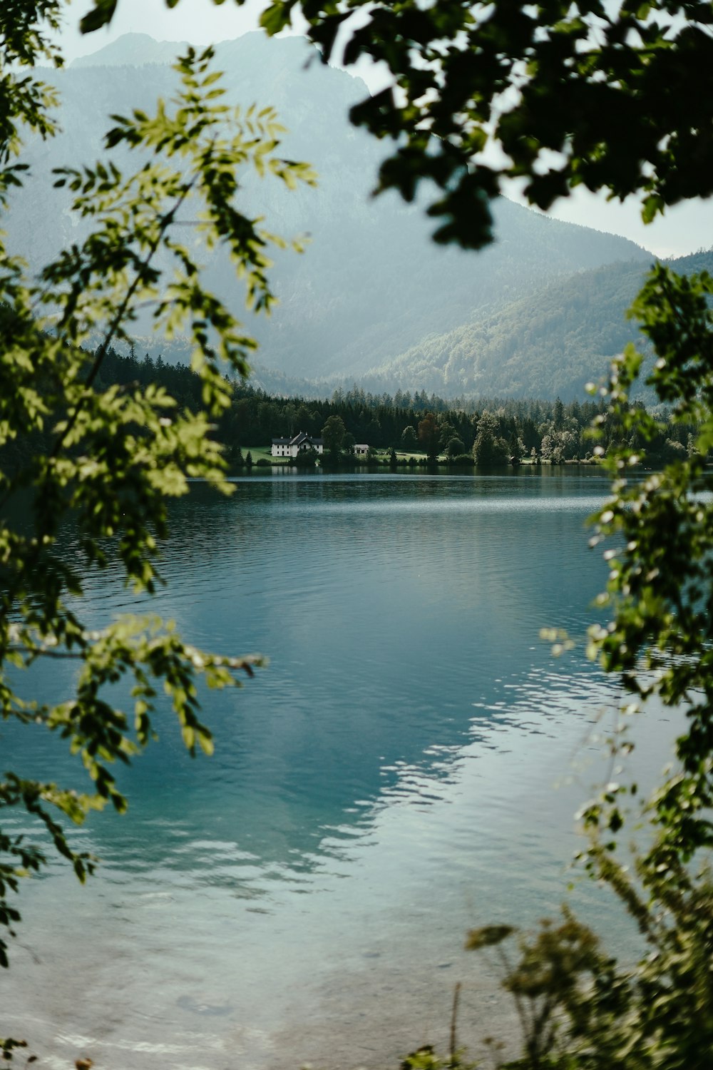 a lake with trees around it