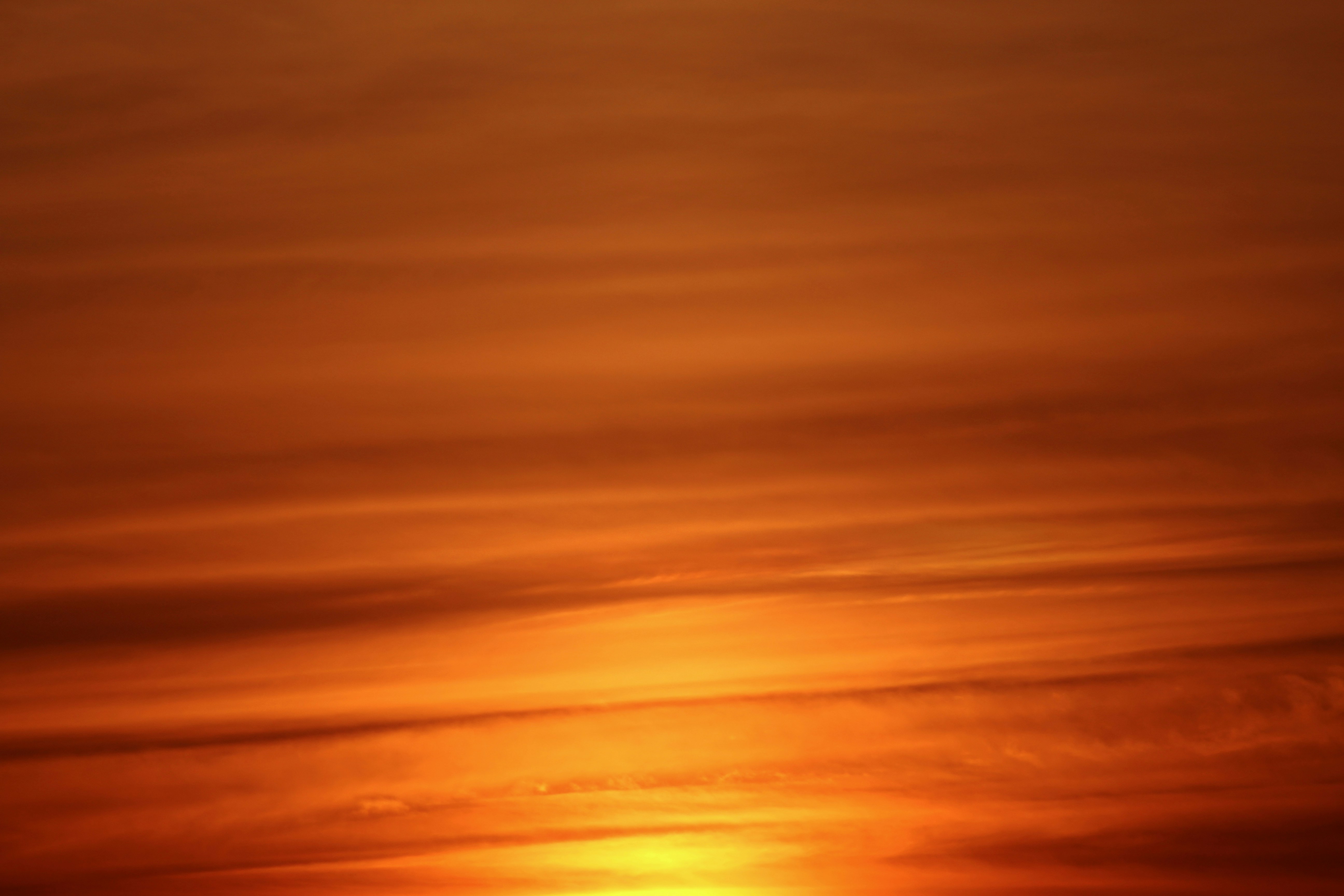 Photo by fidgetingferdie